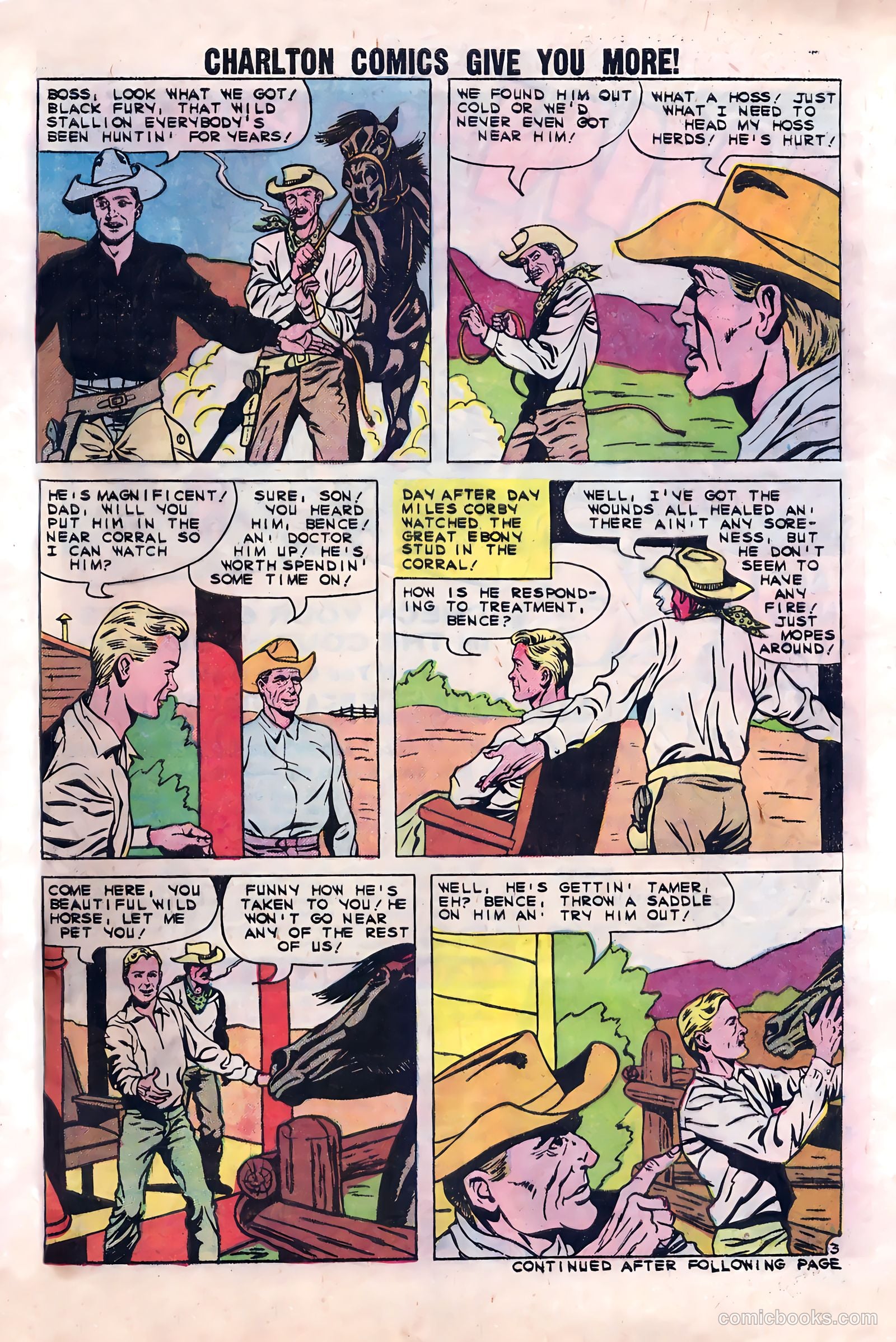 Black Fury #23 — page 5 of 36