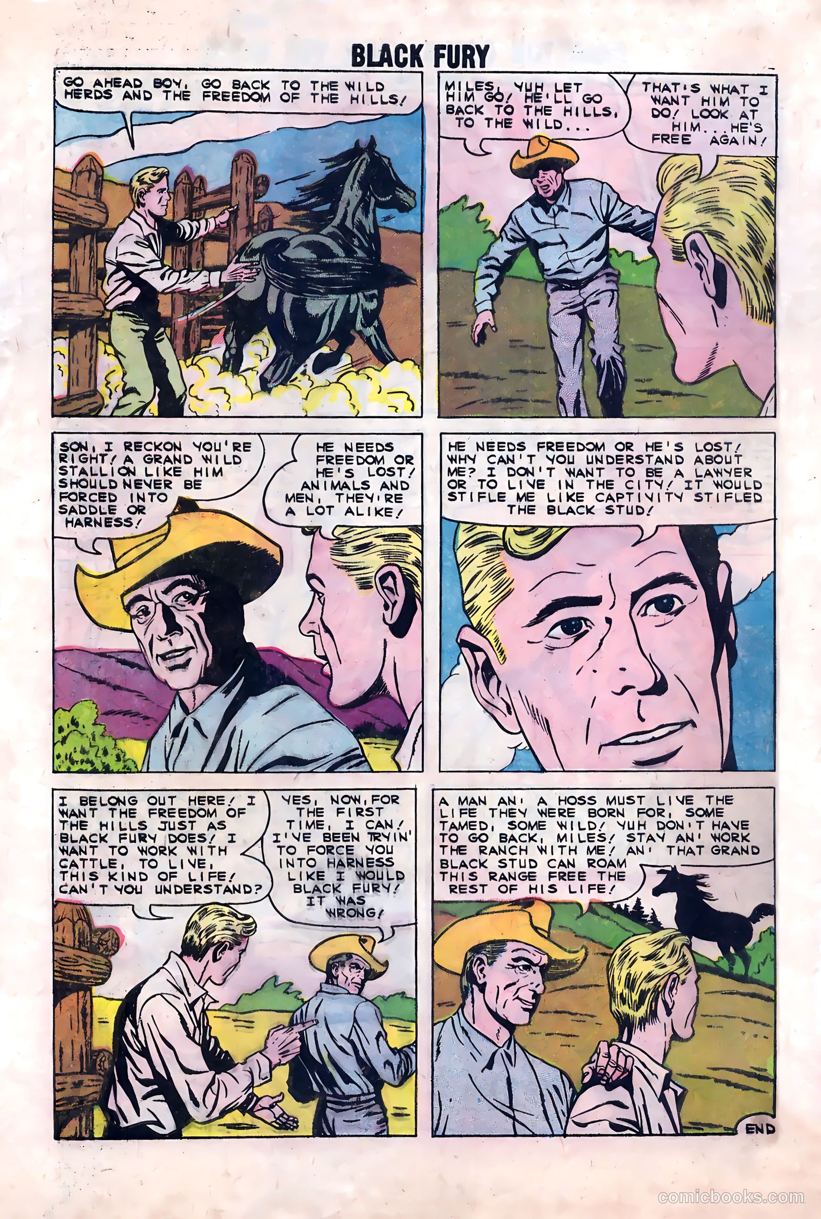 Black Fury #23 — page 8 of 36