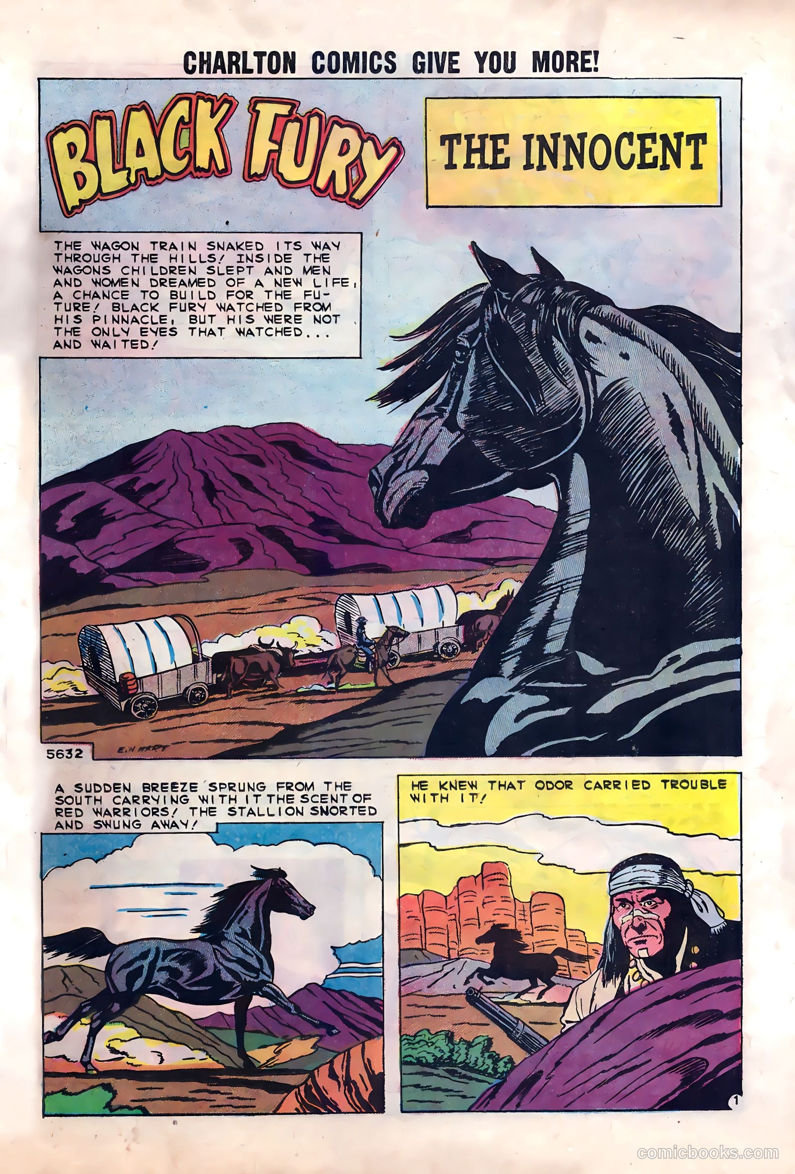 Black Fury #23 — page 11 of 36