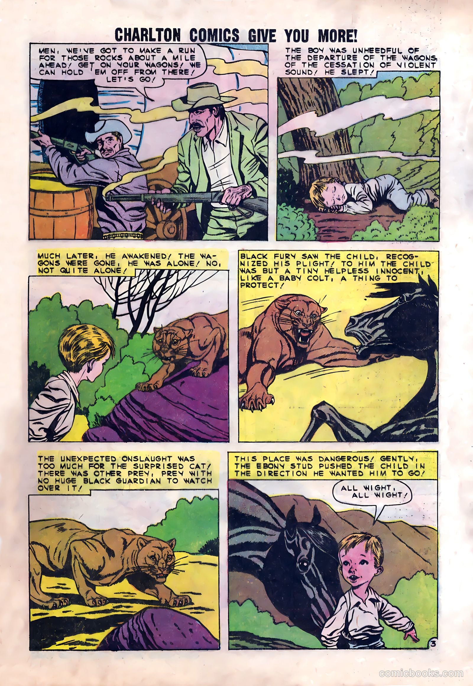 Black Fury #23 — page 13 of 36