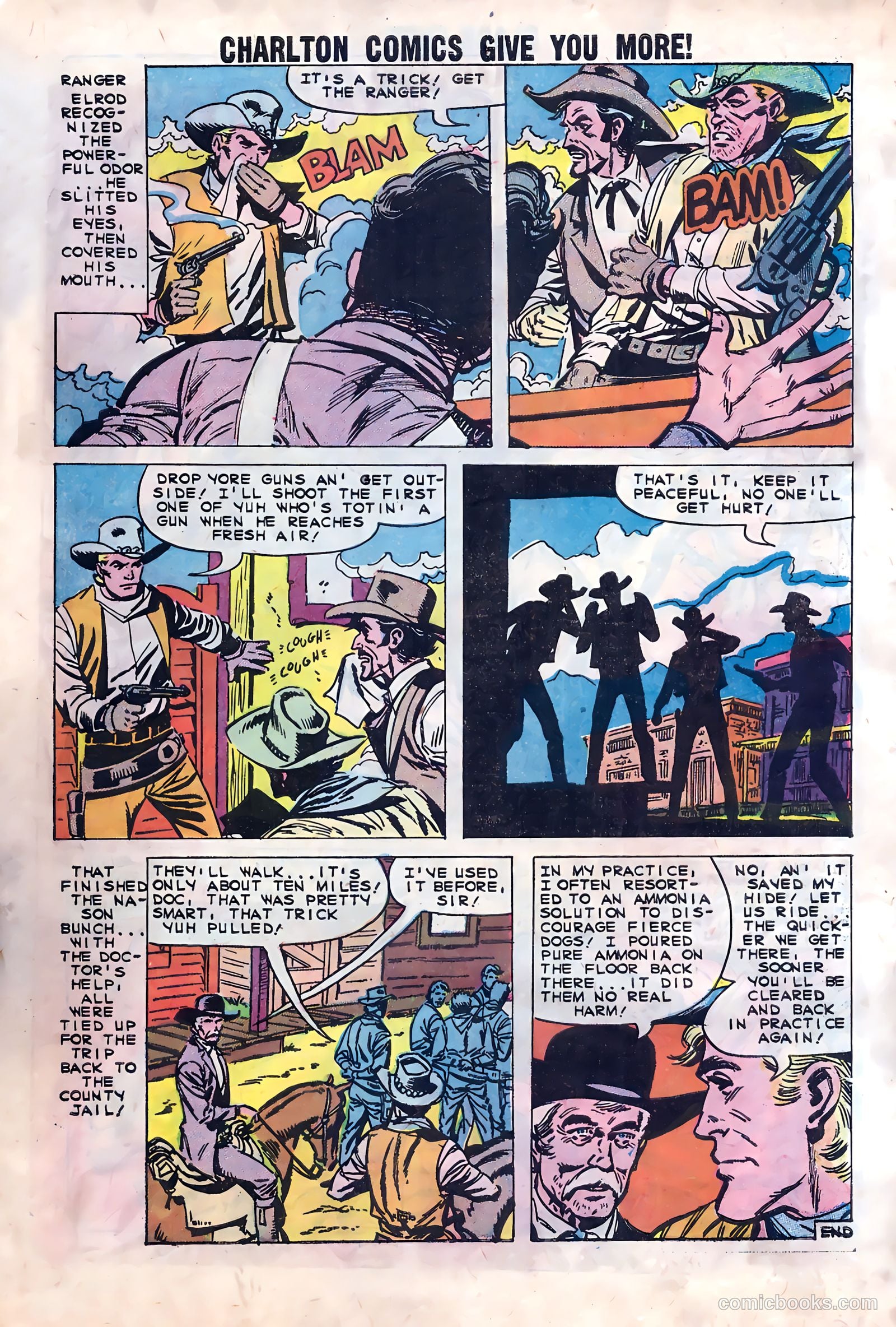 Black Fury #23 — page 27 of 36