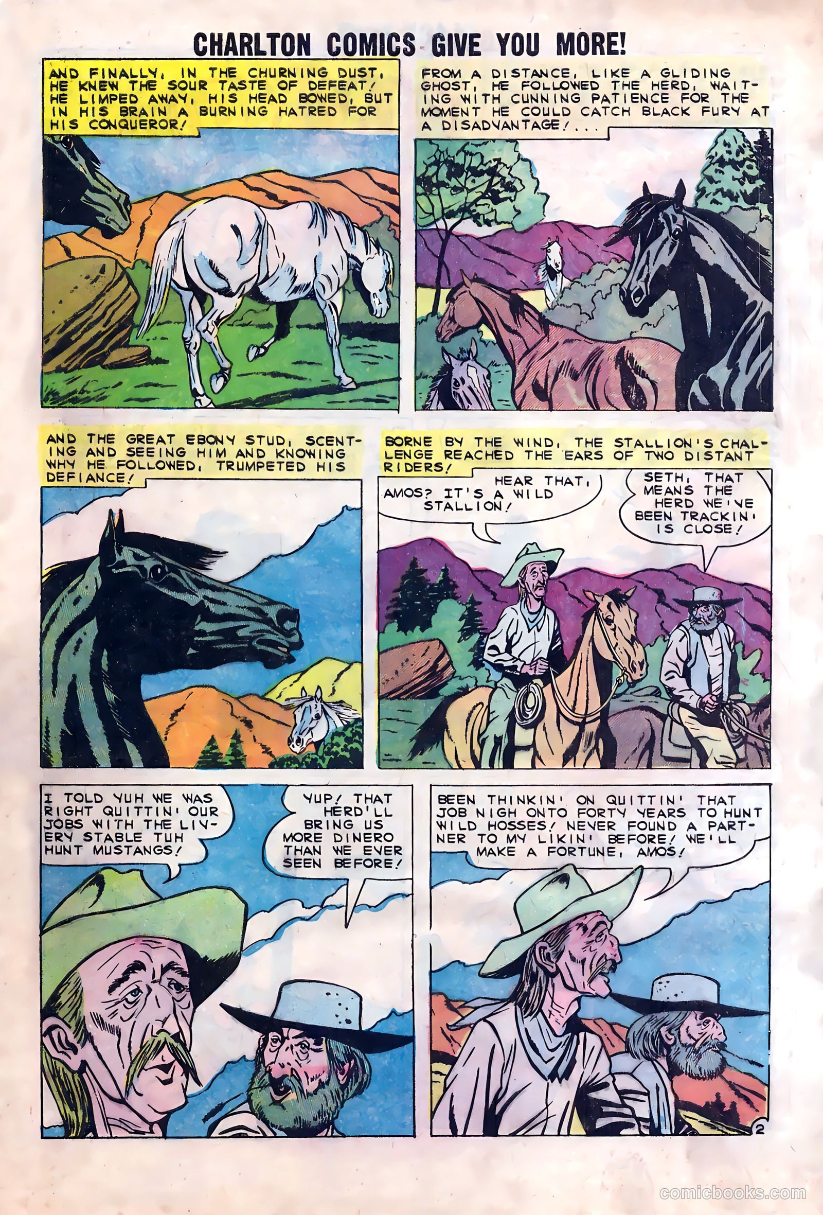 Black Fury #23 — page 29 of 36