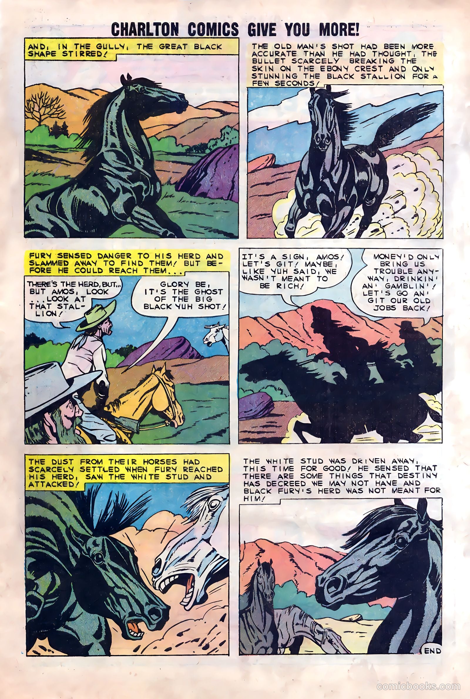 Black Fury #23 — page 33 of 36