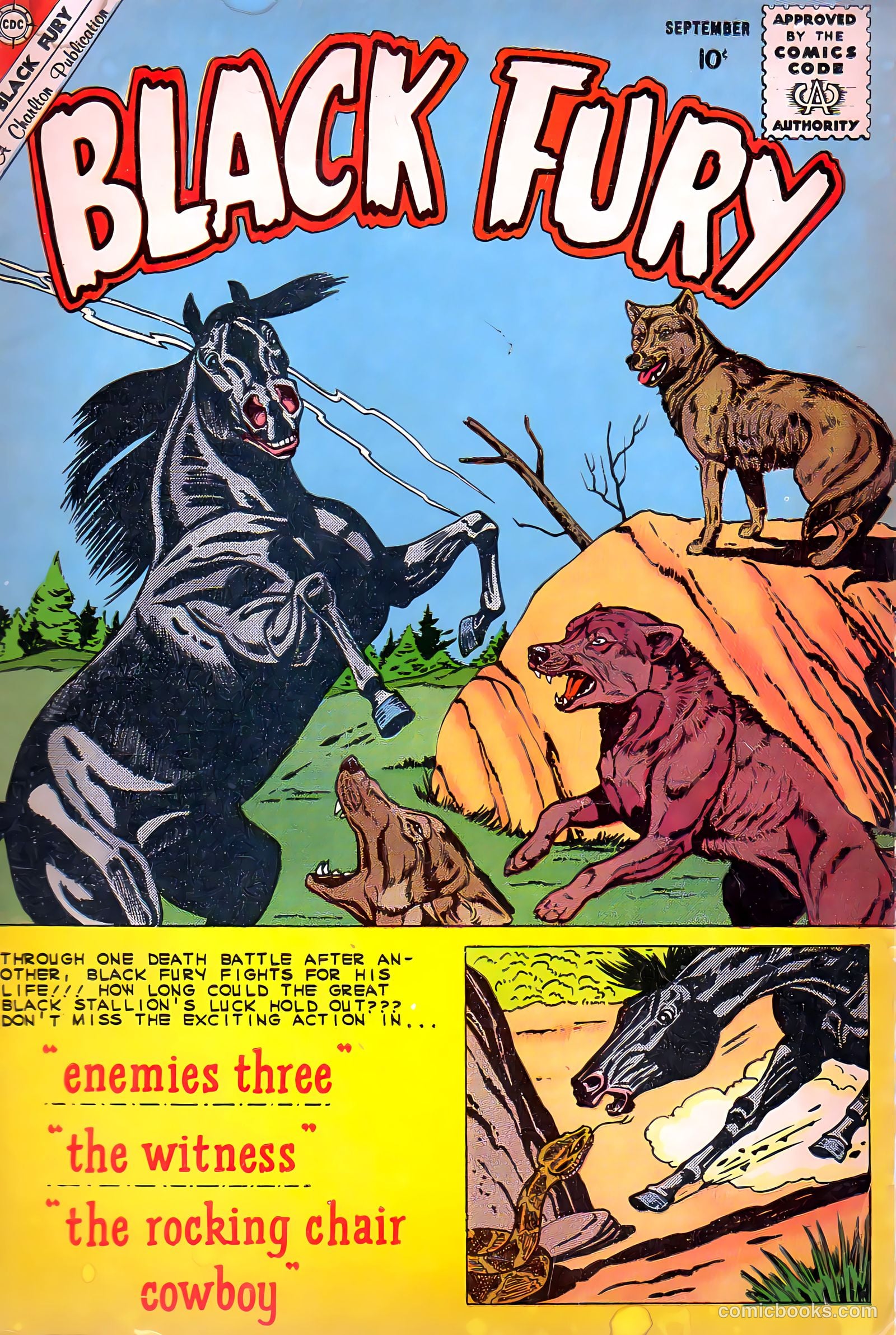 Black Fury #26 — page 1 of 36