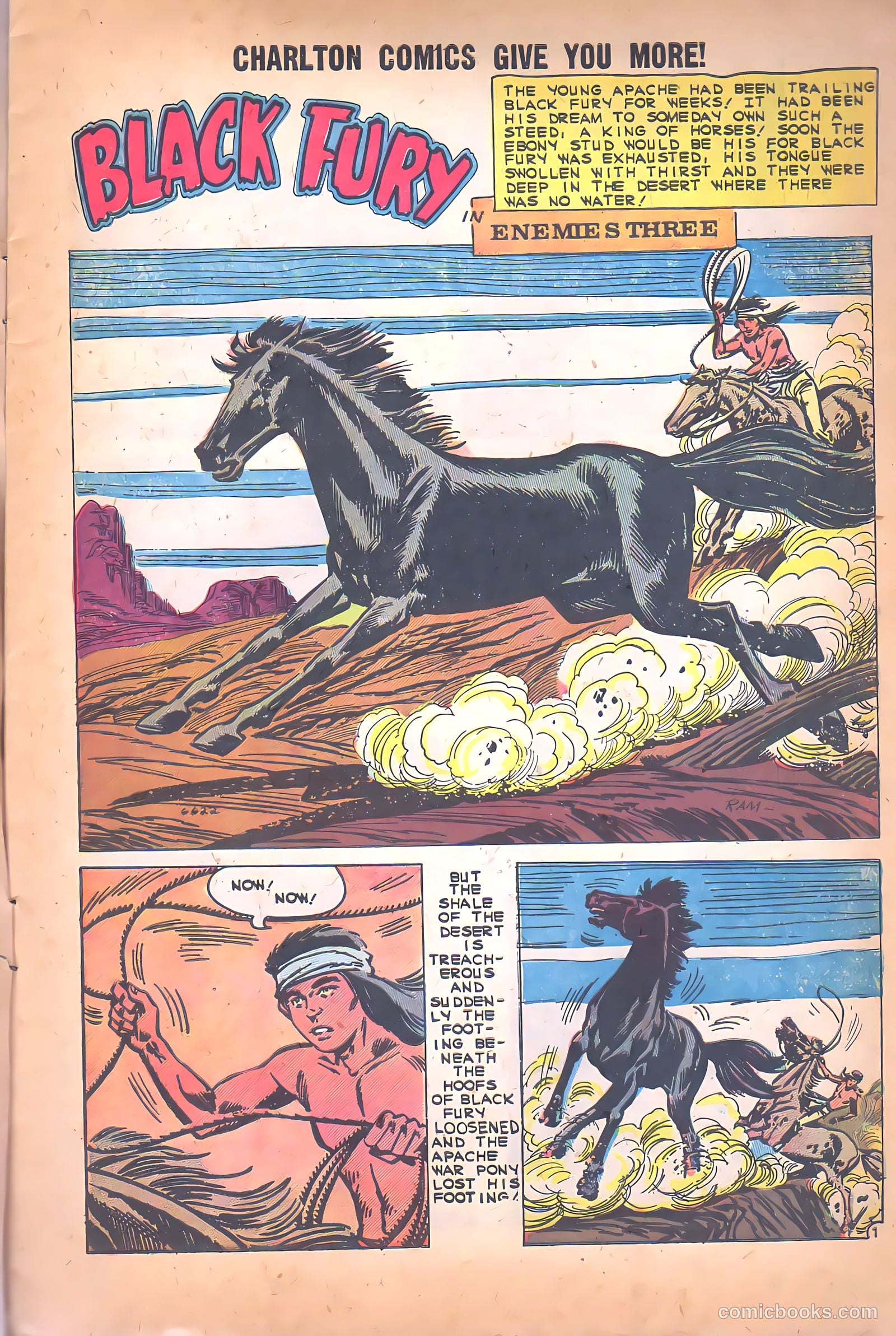 Black Fury #26 — page 3 of 36