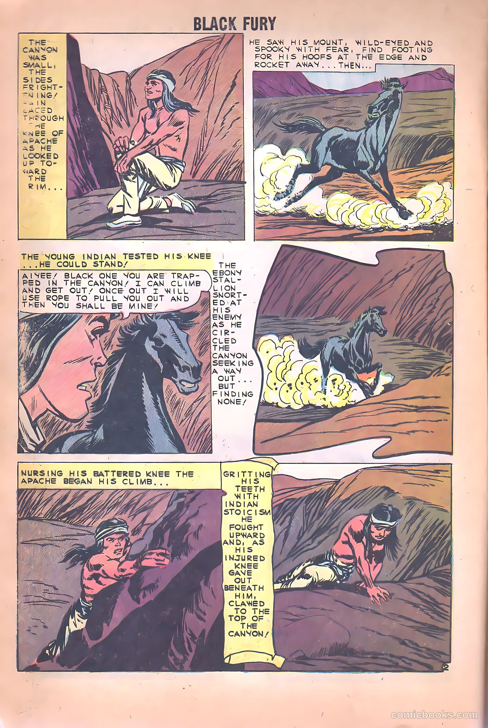 Black Fury #26 — page 4 of 36