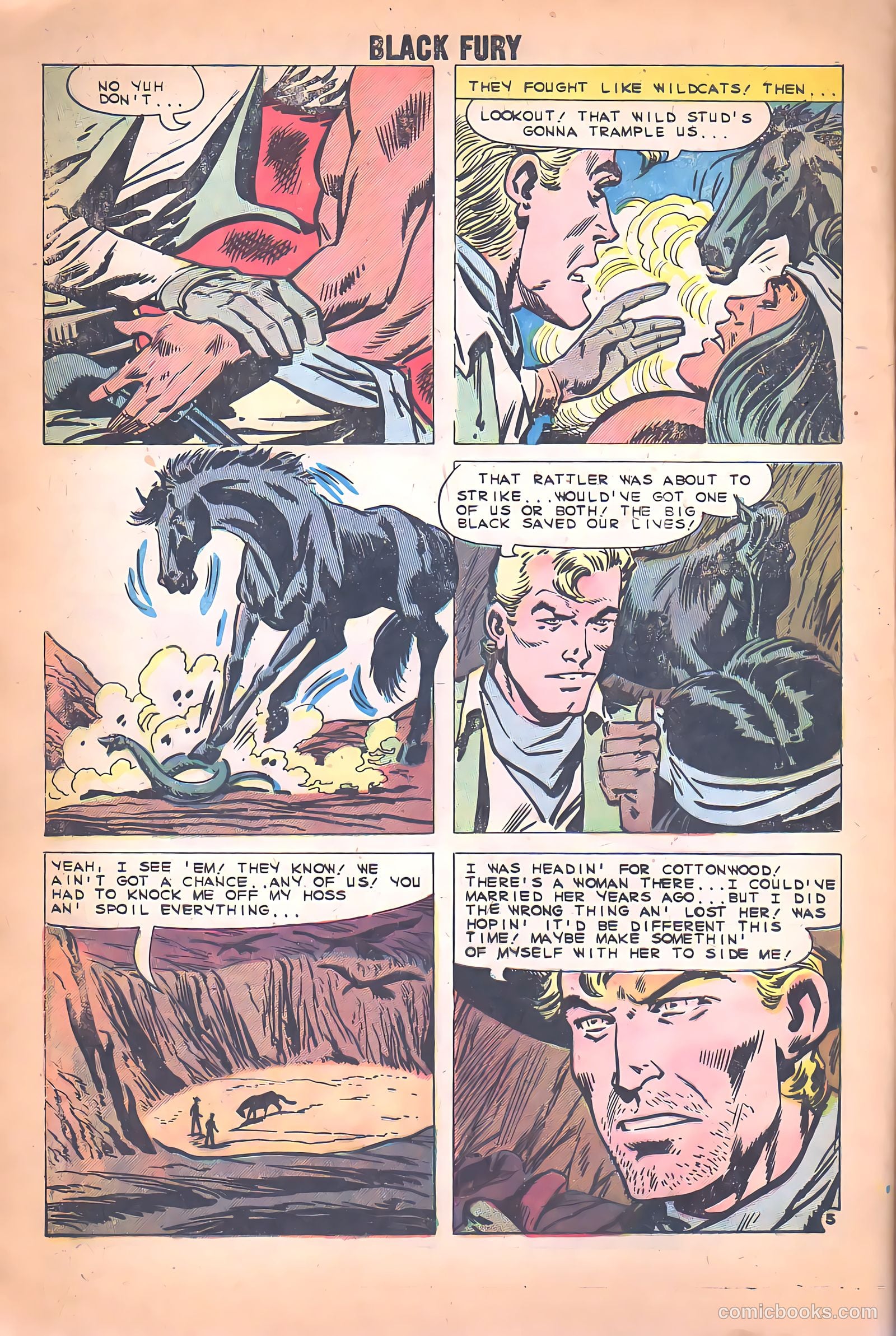 Black Fury #26 — page 8 of 36