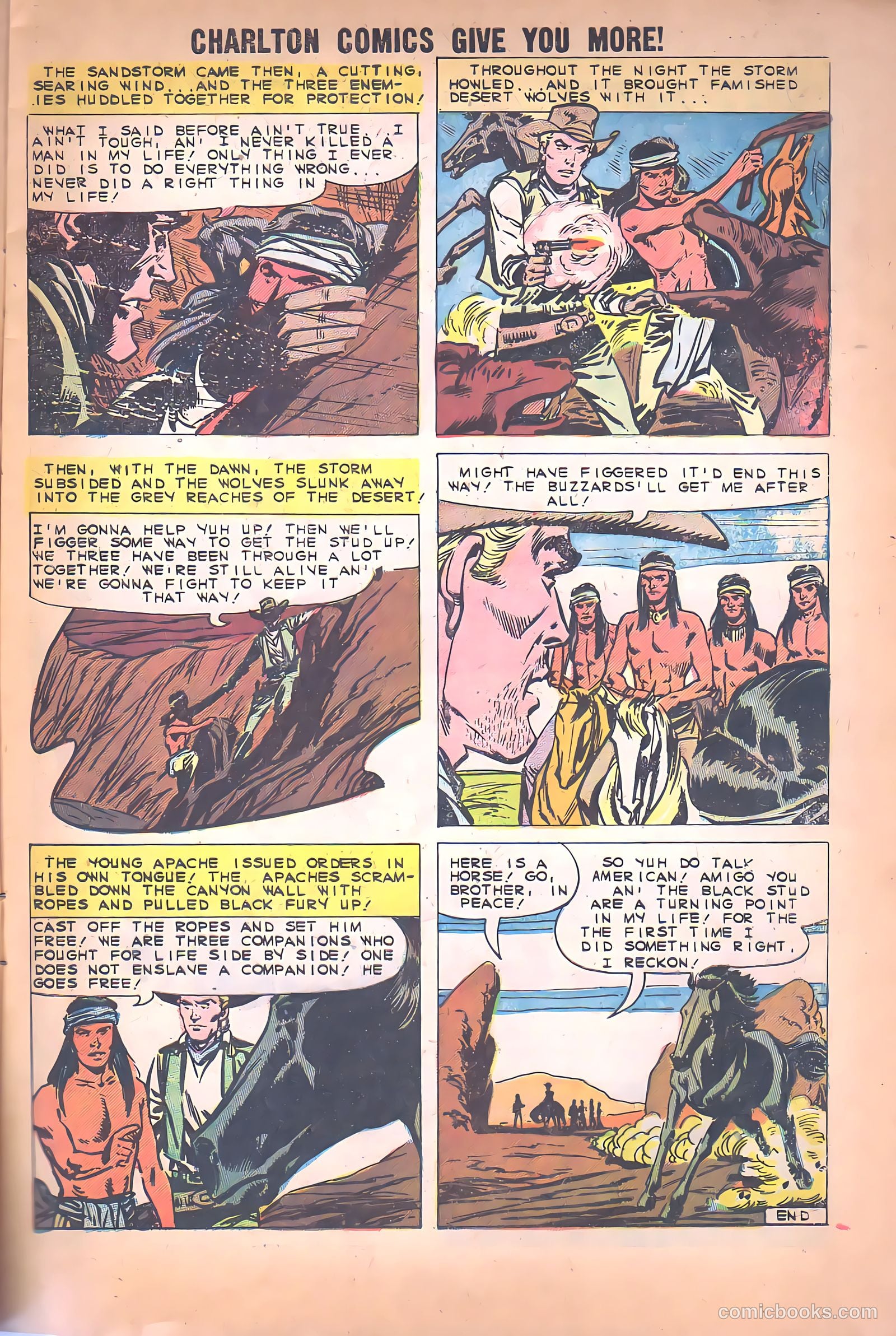 Black Fury #26 — page 9 of 36