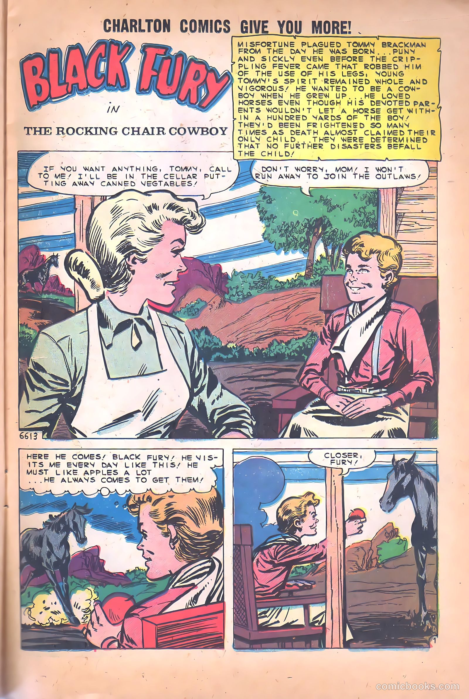 Black Fury #26 — page 11 of 36
