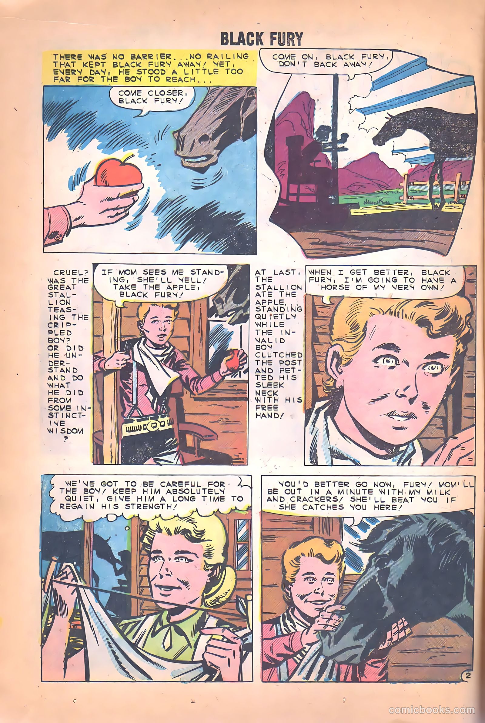 Black Fury #26 — page 12 of 36