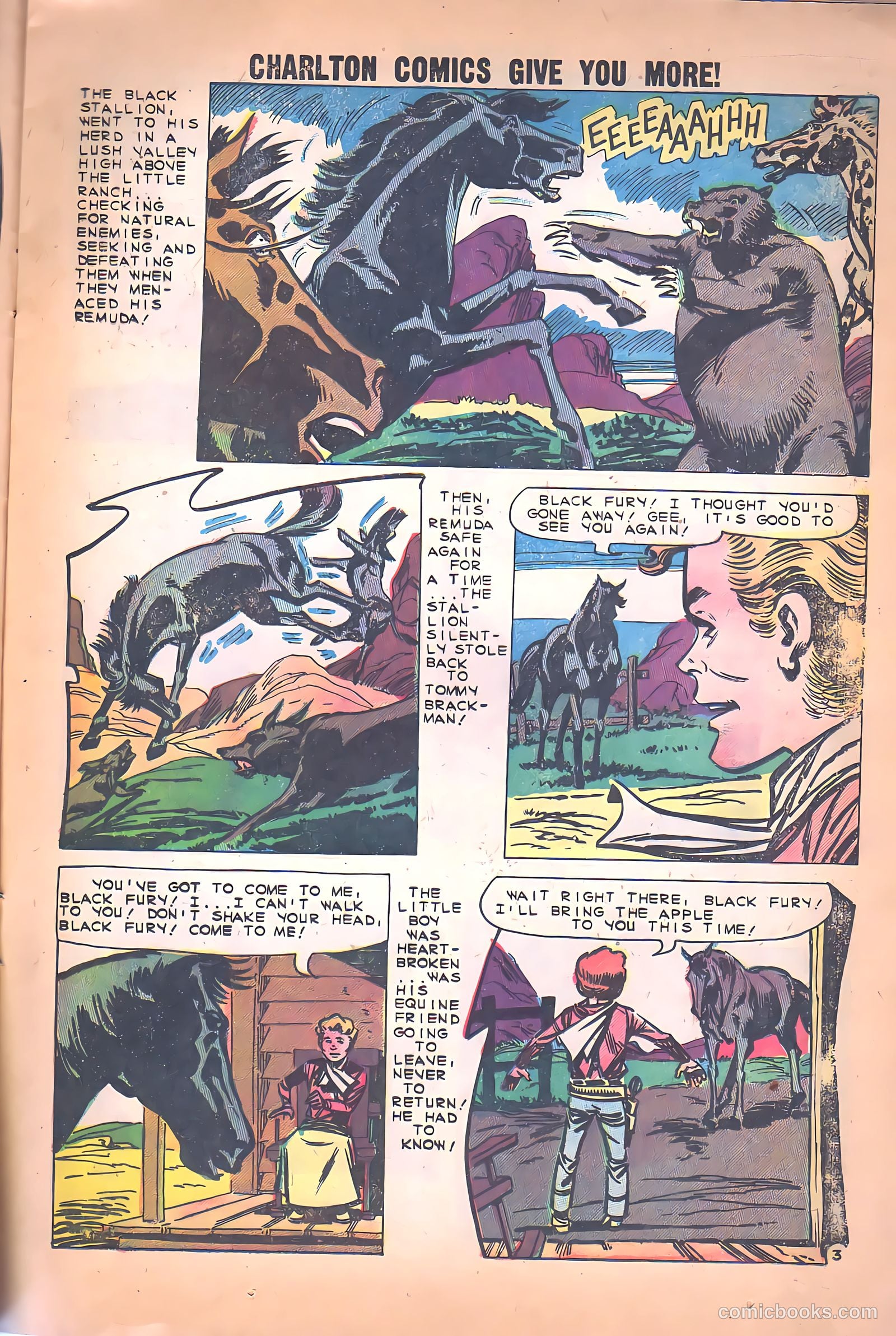 Black Fury #26 — page 13 of 36