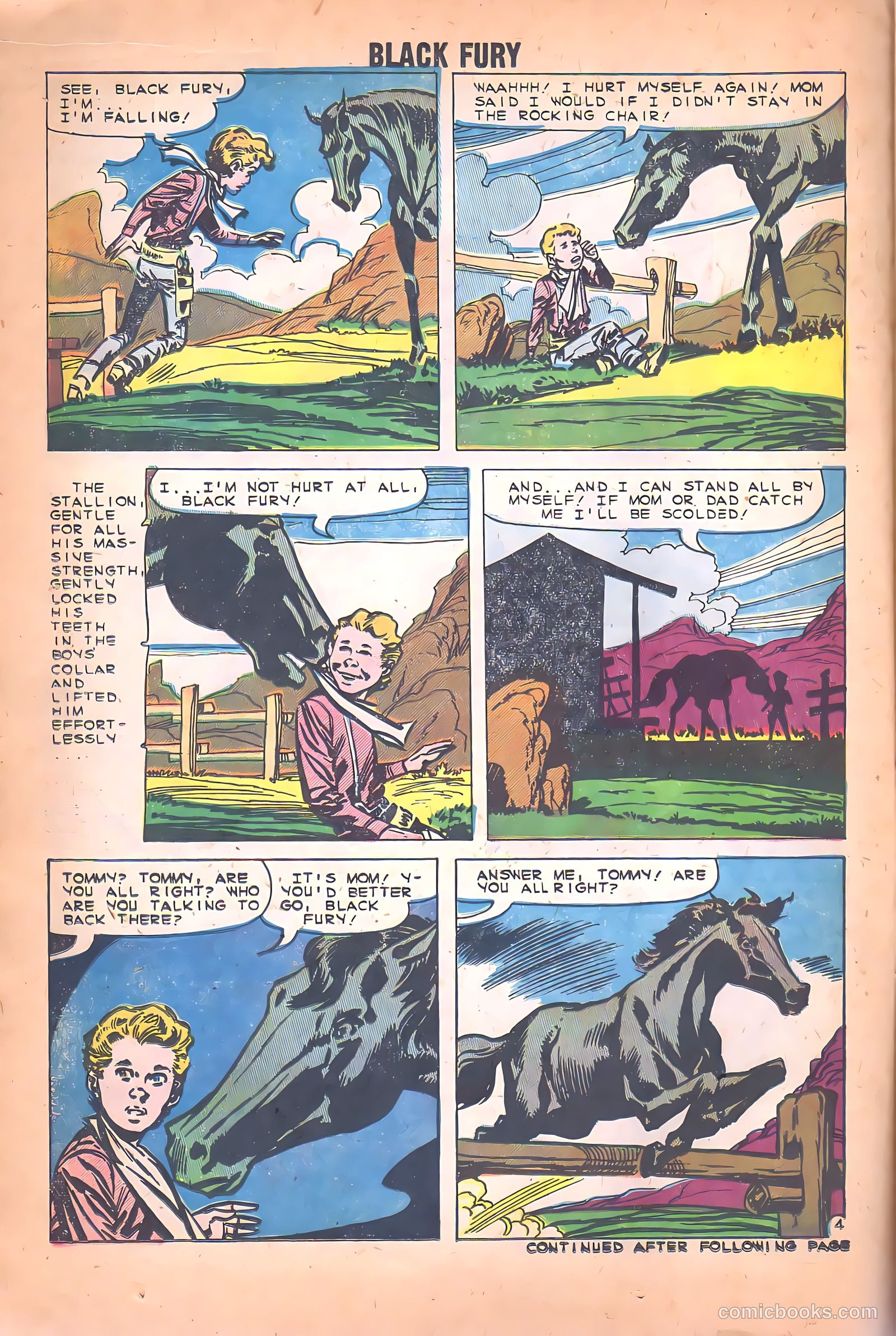 Black Fury #26 — page 14 of 36