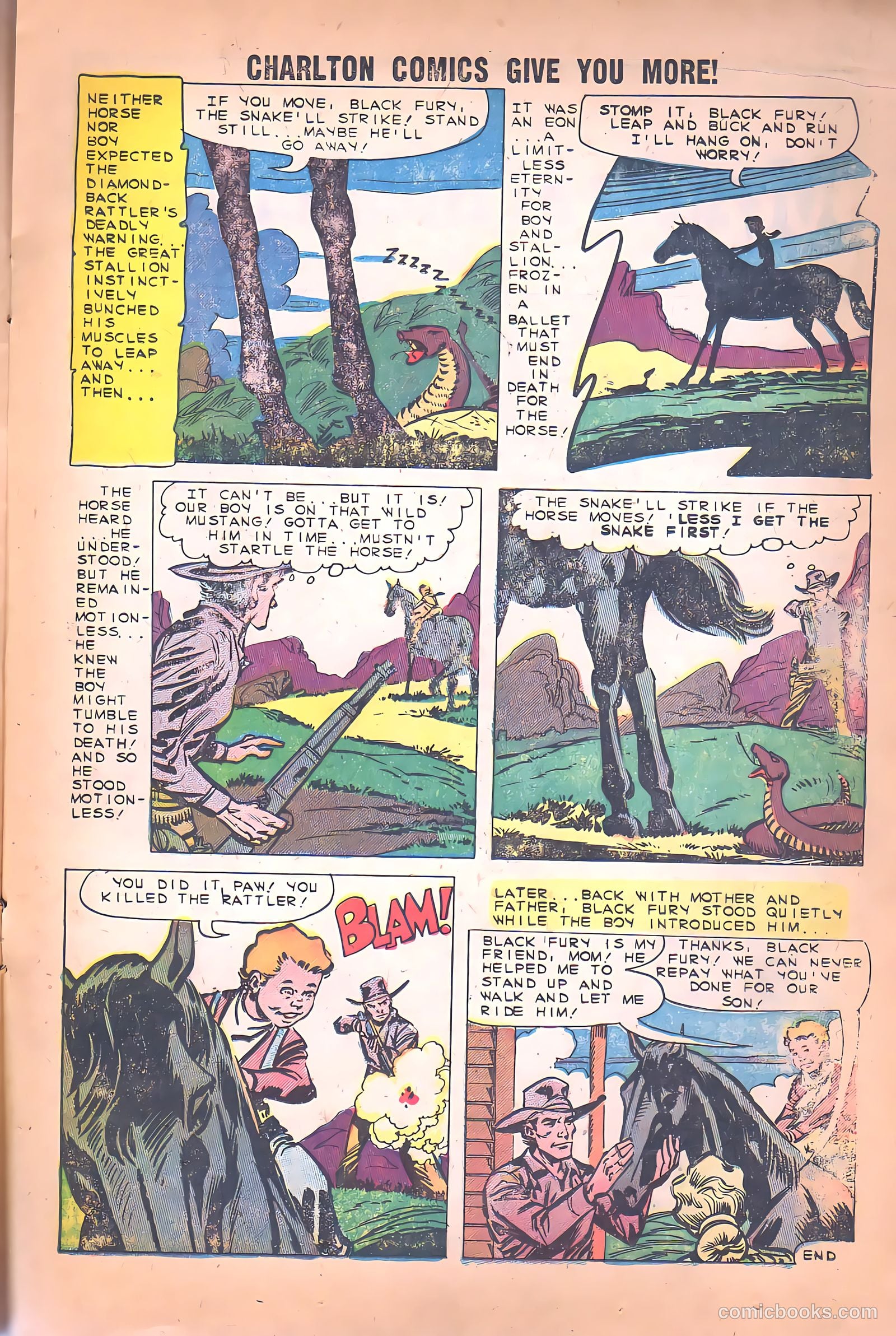 Black Fury #26 — page 17 of 36