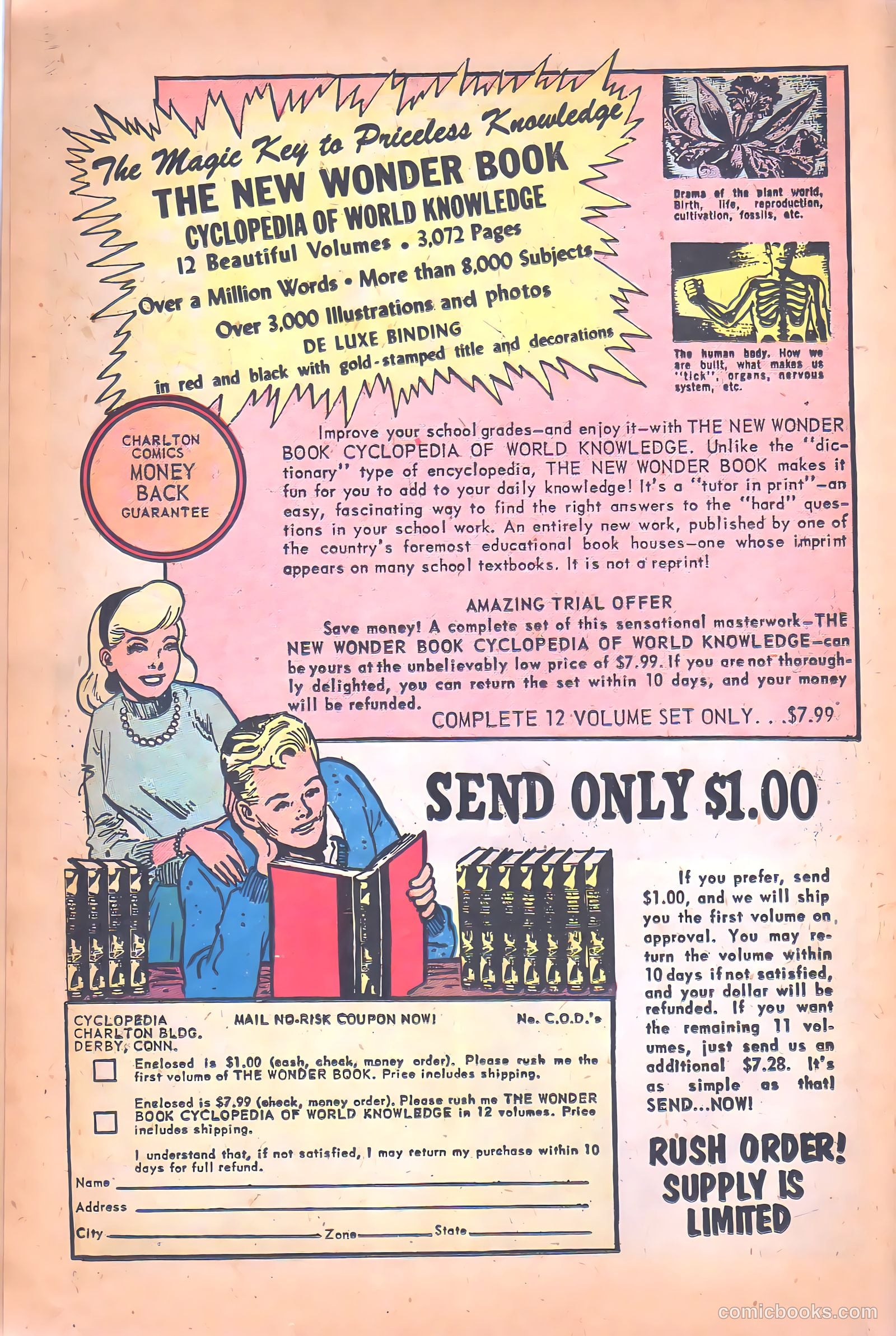 Black Fury #26 — page 22 of 36