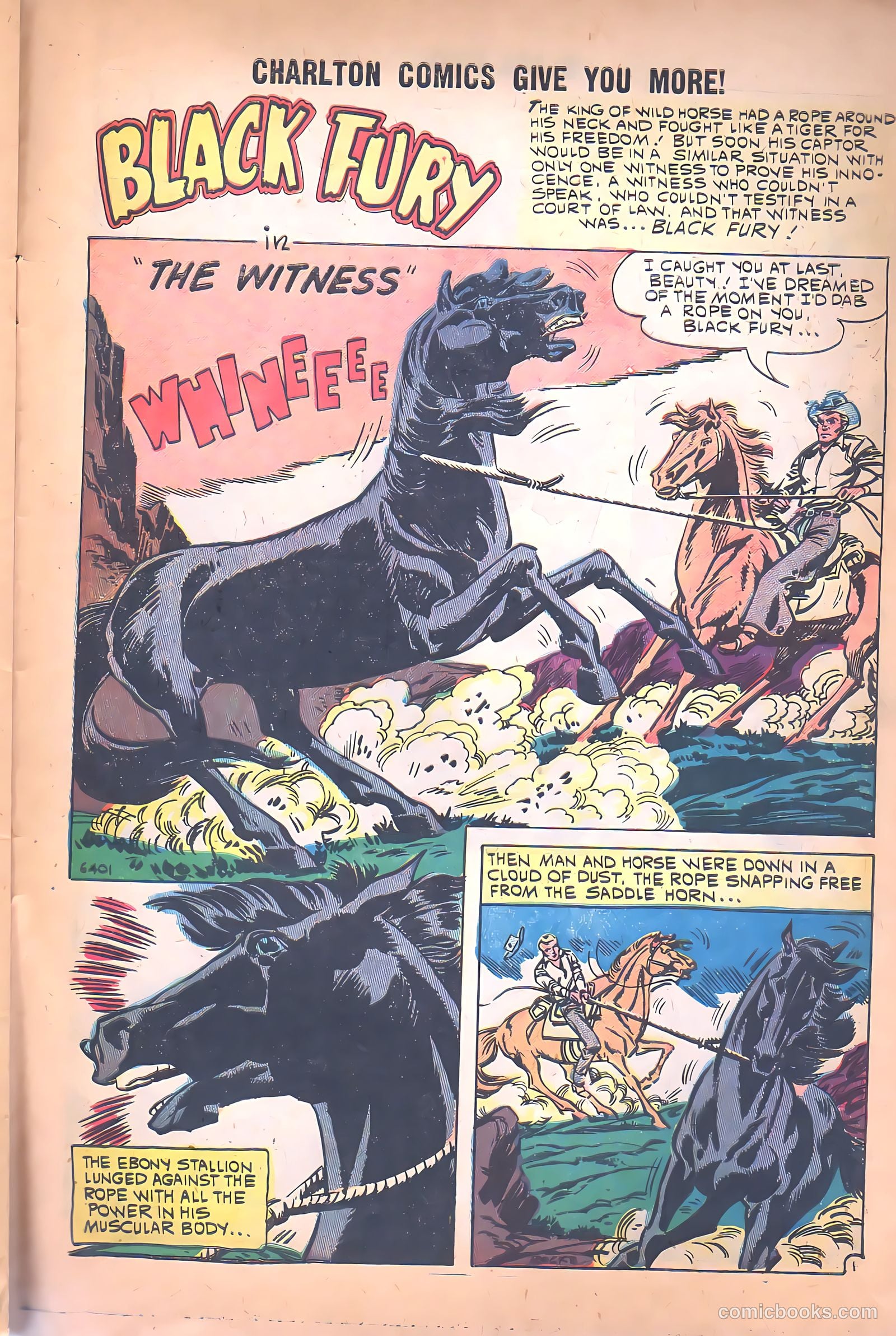 Black Fury #26 — page 27 of 36