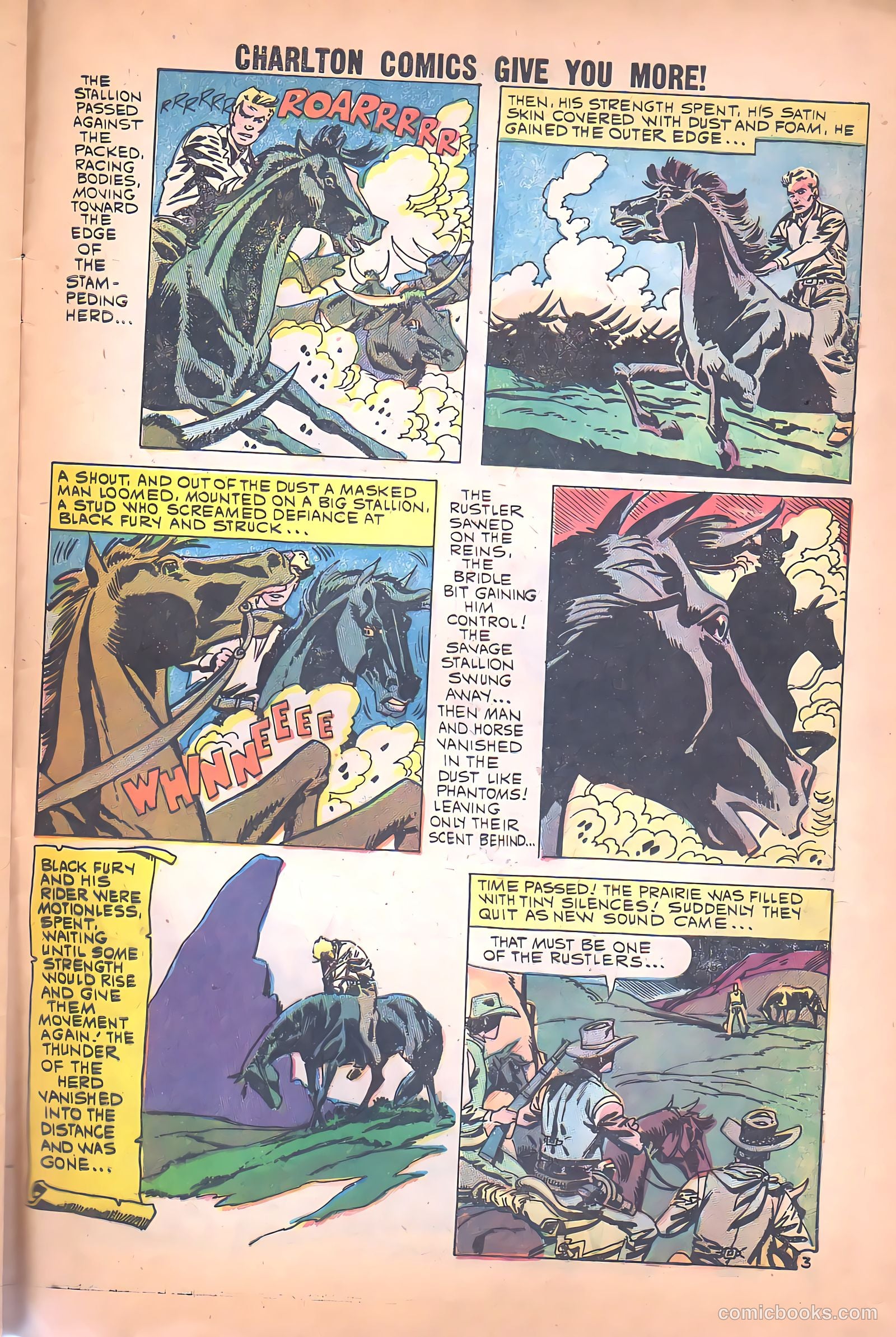 Black Fury #26 — page 29 of 36