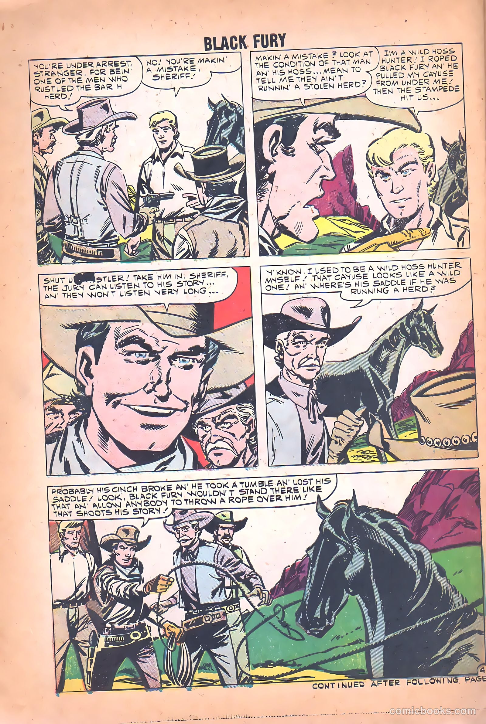 Black Fury #26 — page 30 of 36