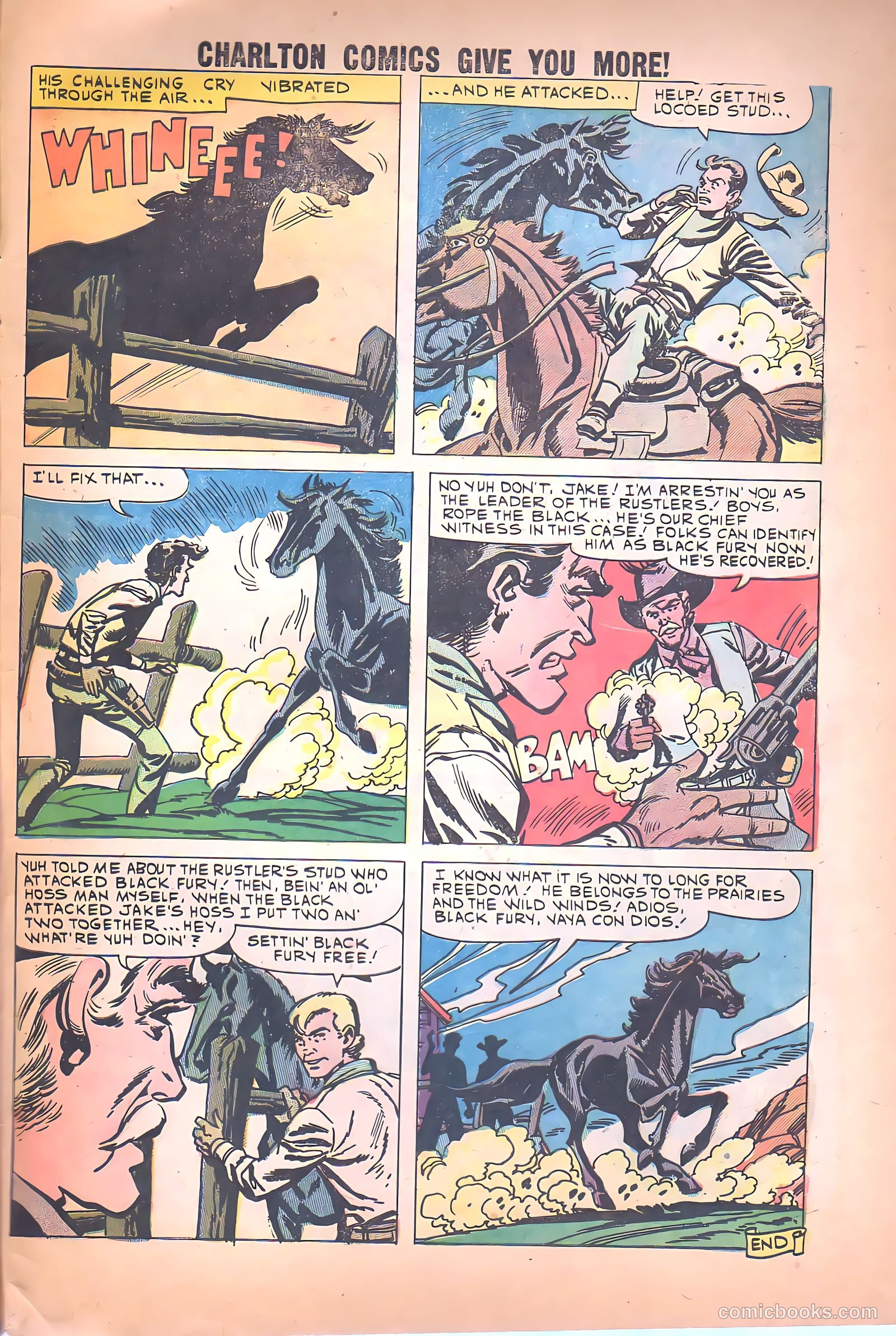 Black Fury #26 — page 33 of 36