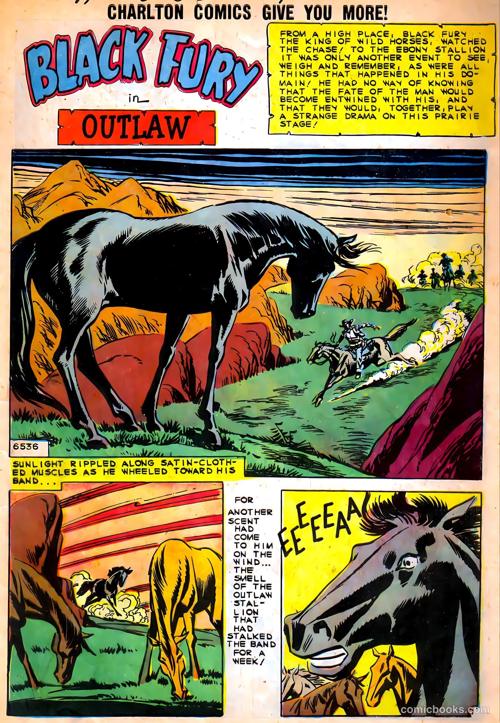 Black Fury #27 — page 3 of 36