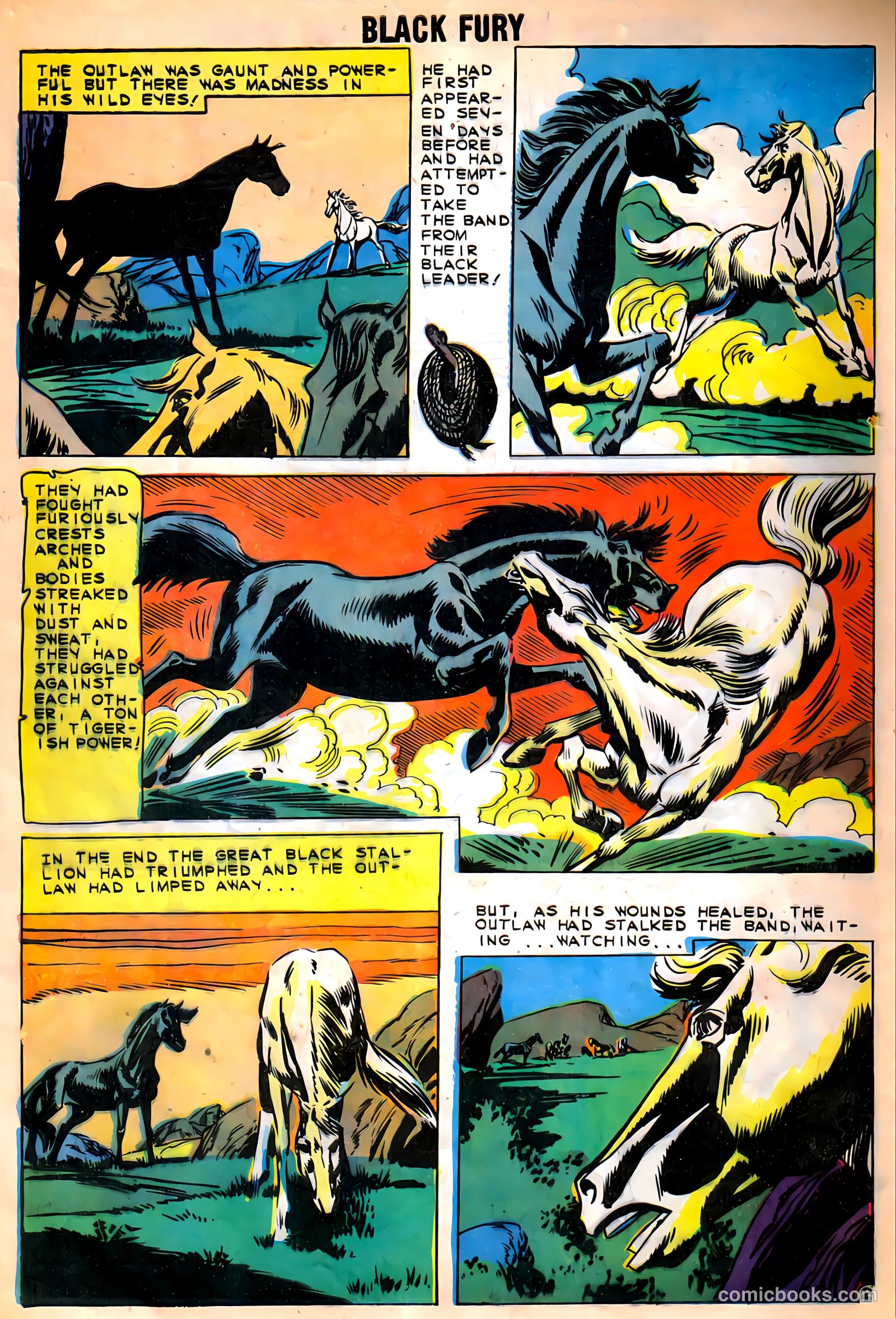 Black Fury #27 — page 4 of 36