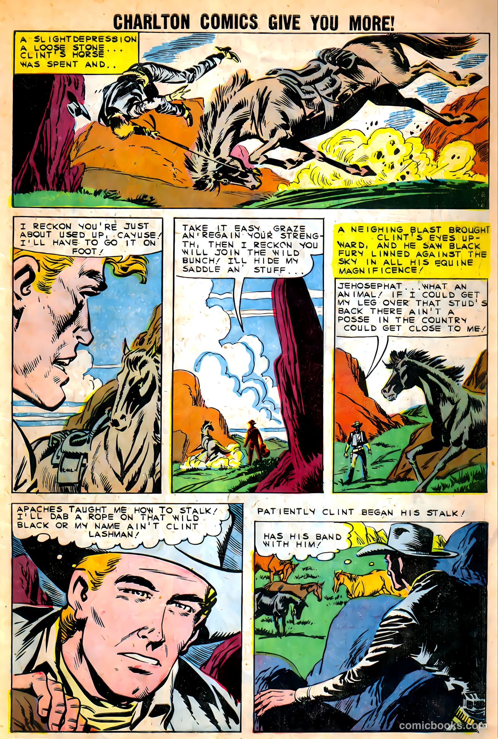 Black Fury #27 — page 7 of 36