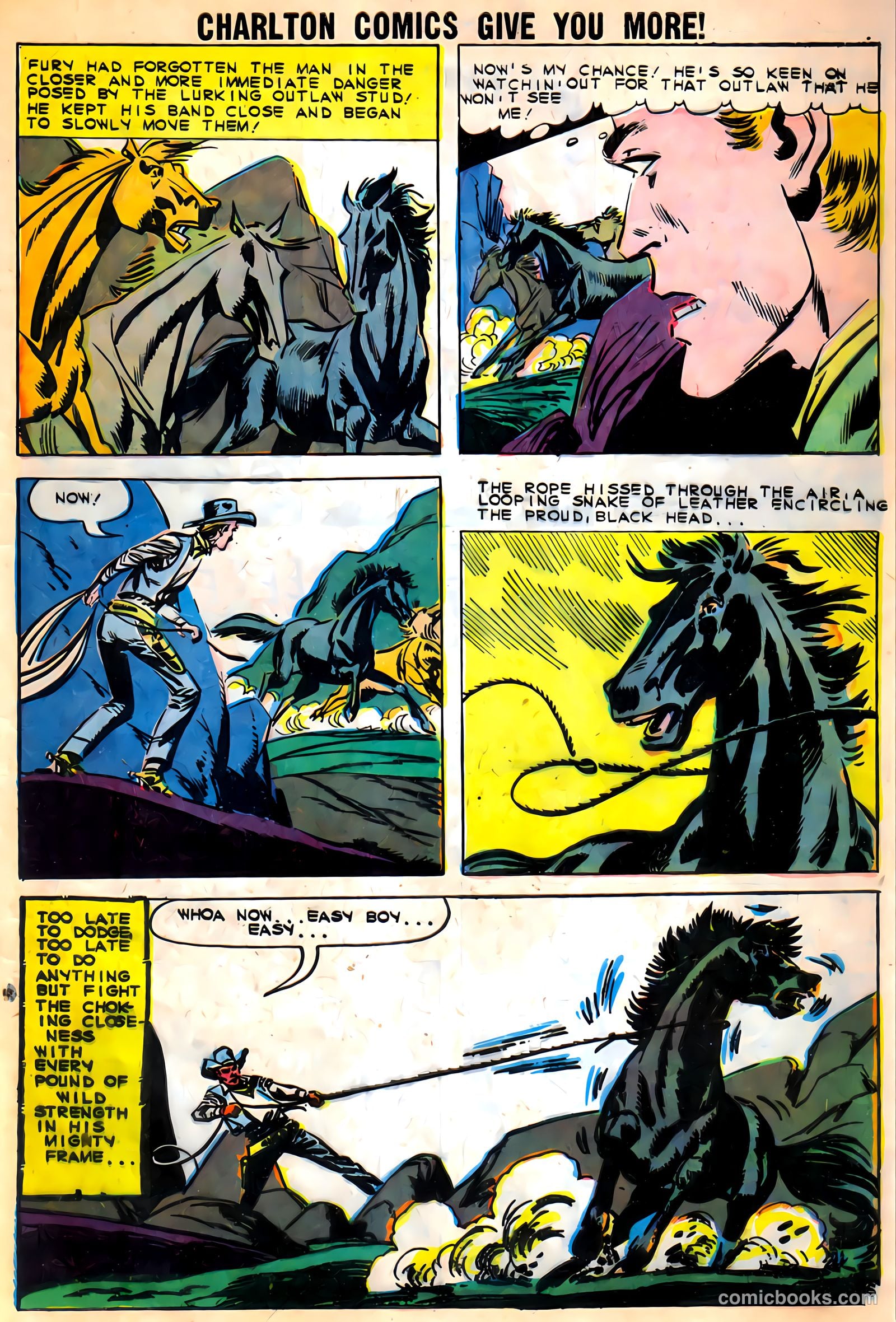 Black Fury #27 — page 9 of 36