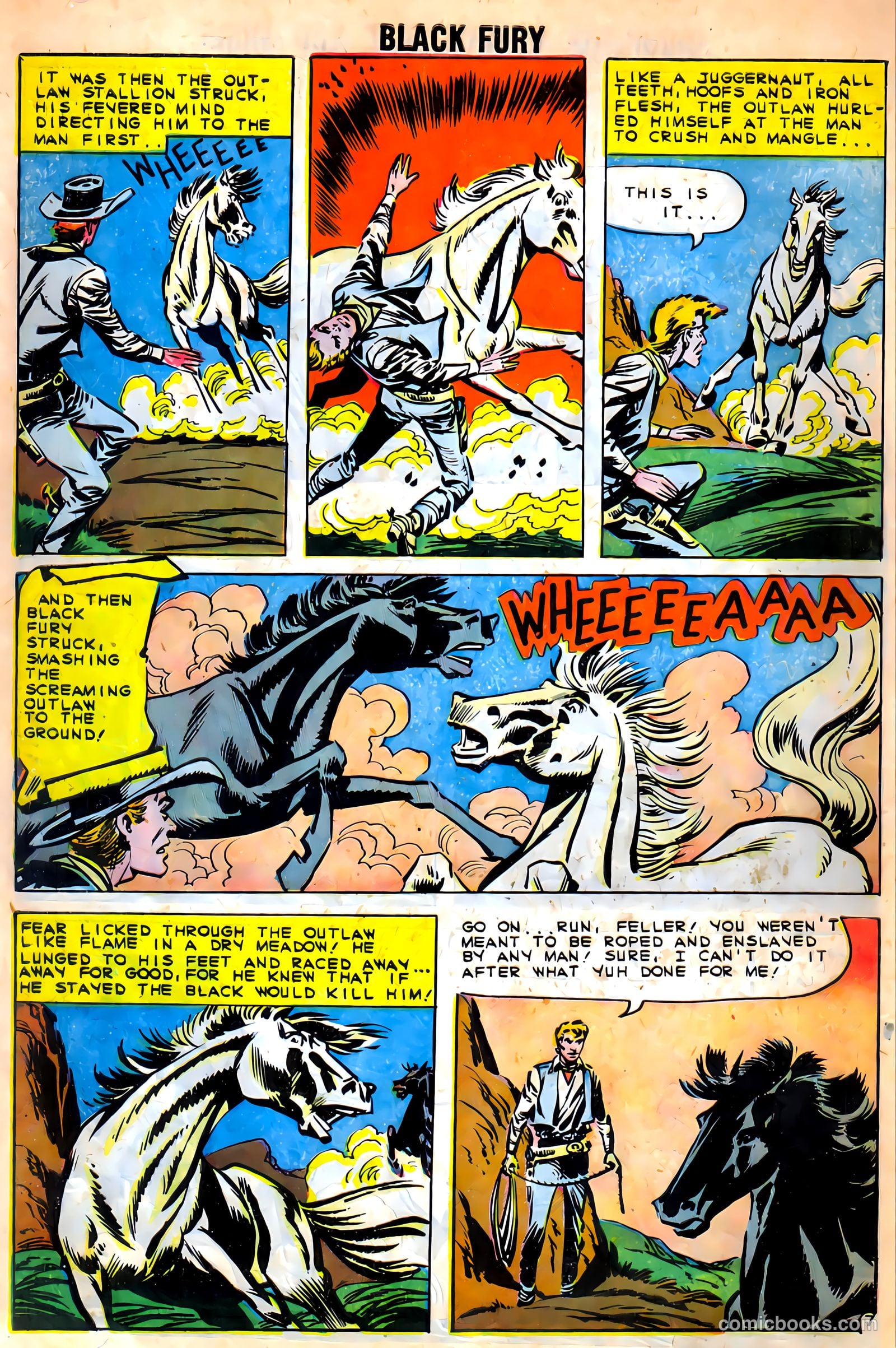 Black Fury #27 — page 10 of 36
