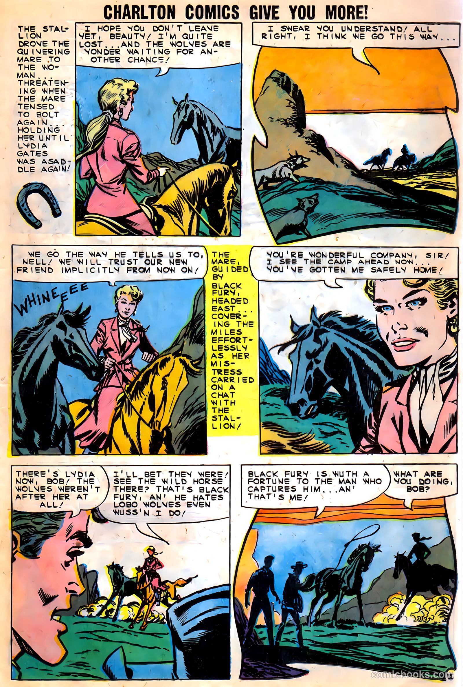 Black Fury #27 — page 17 of 36