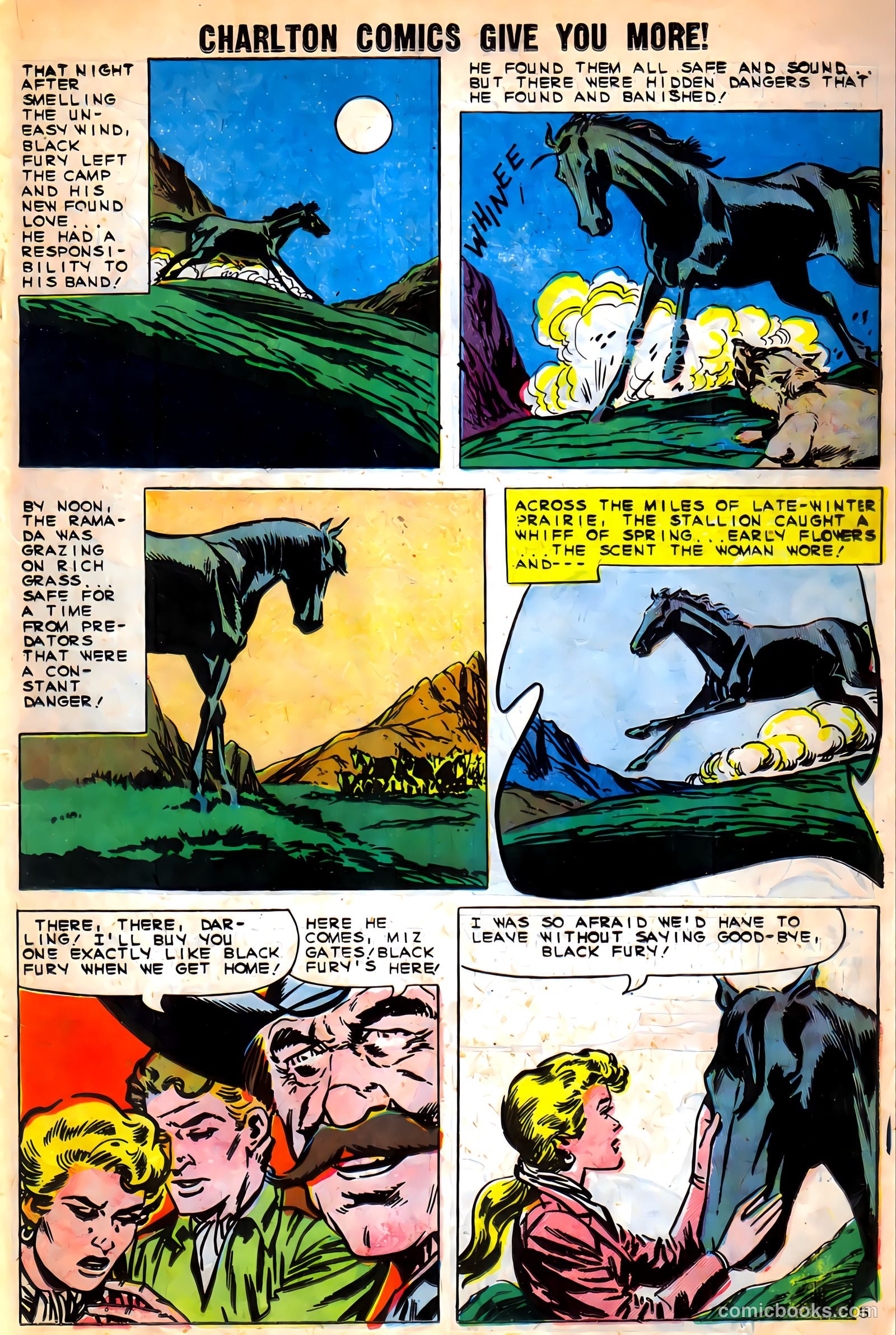 Black Fury #27 — page 19 of 36