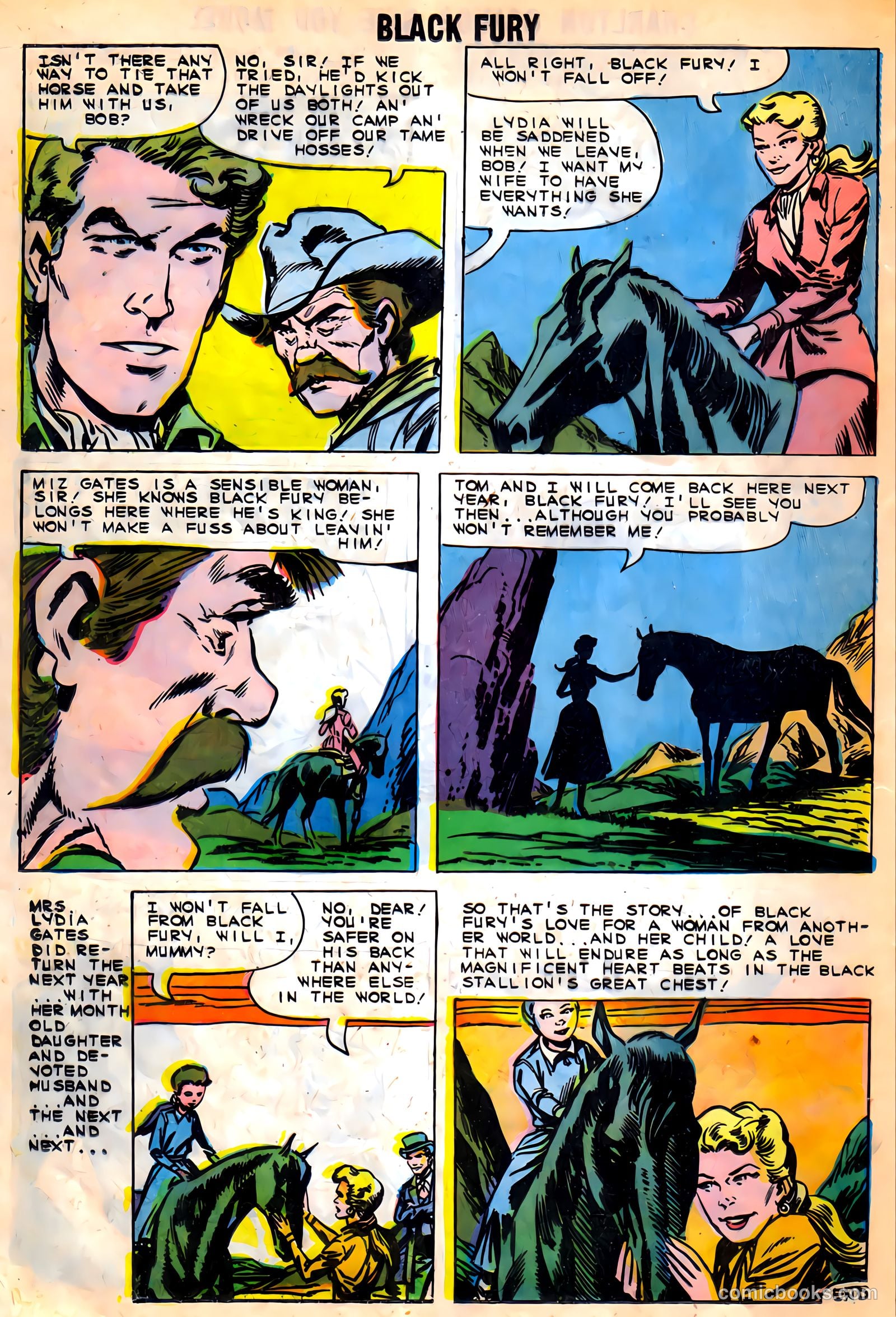 Black Fury #27 — page 20 of 36