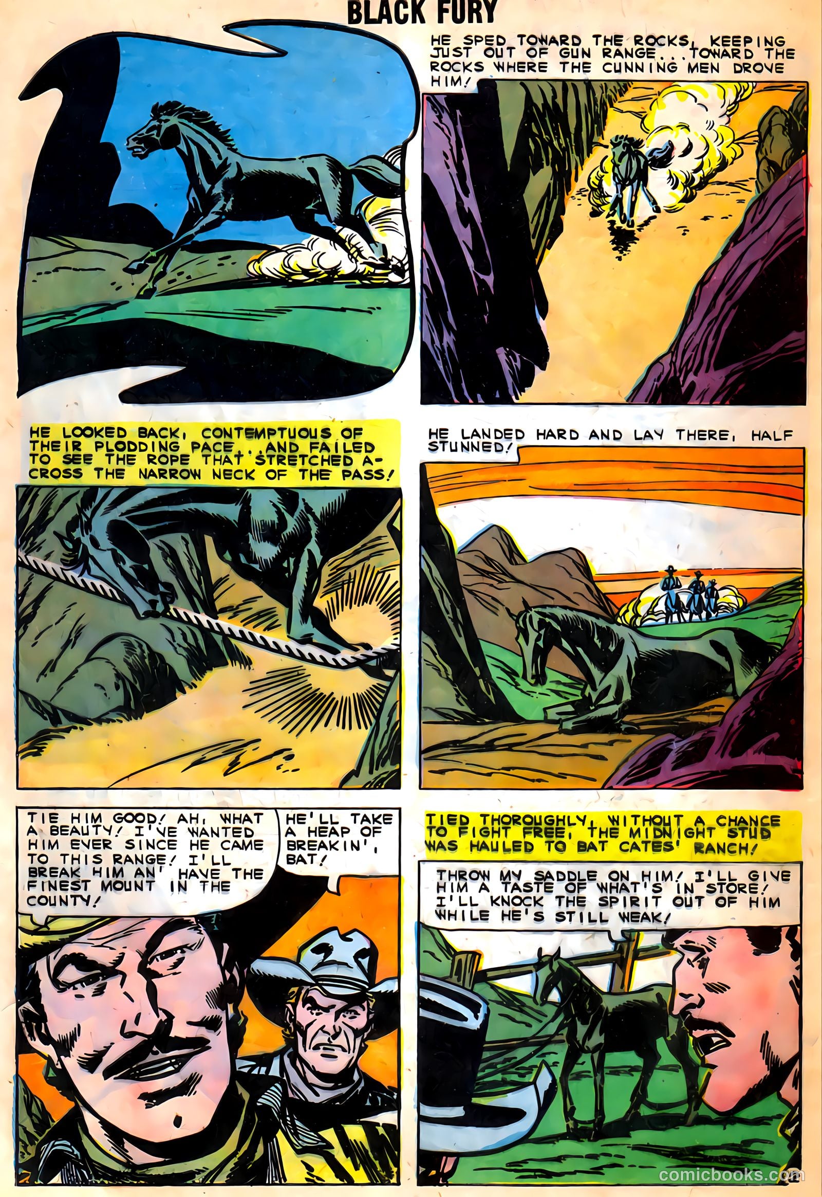 Black Fury #27 — page 28 of 36
