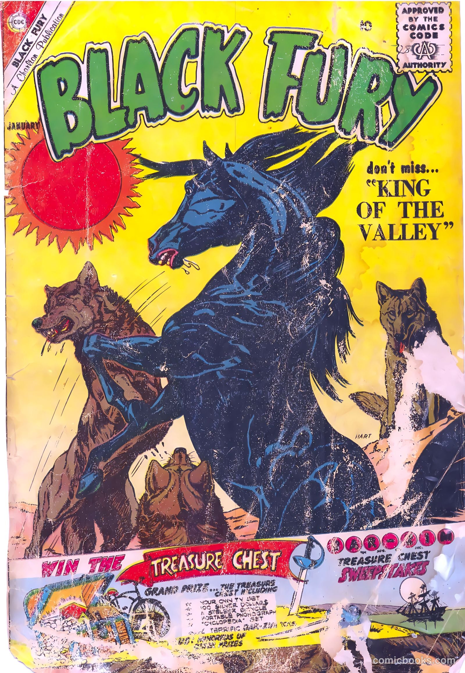 Black Fury #28 — page 1 of 36