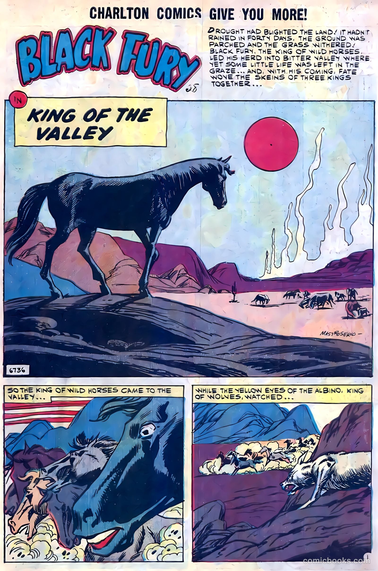 Black Fury #28 — page 3 of 36