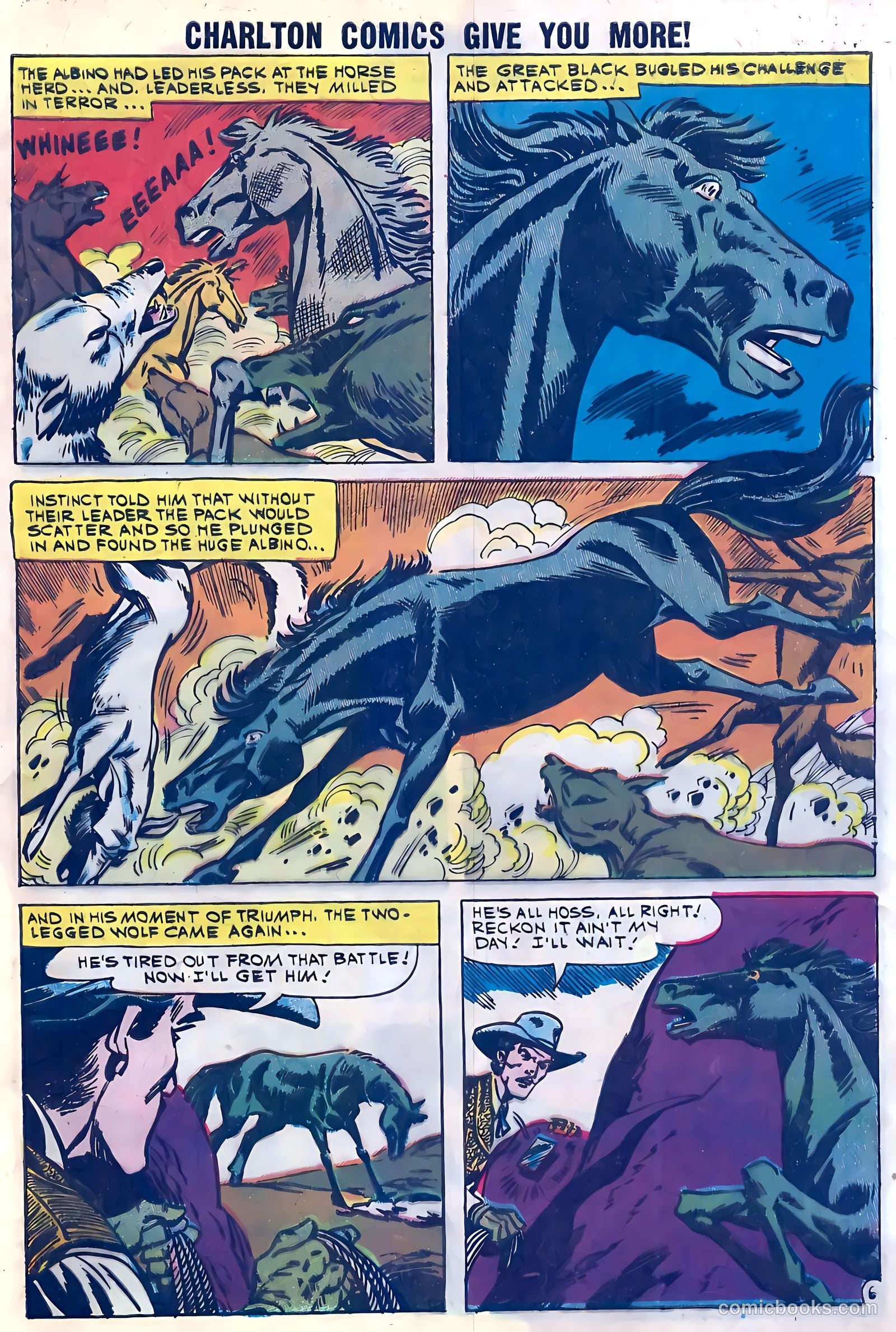 Black Fury #28 — page 9 of 36