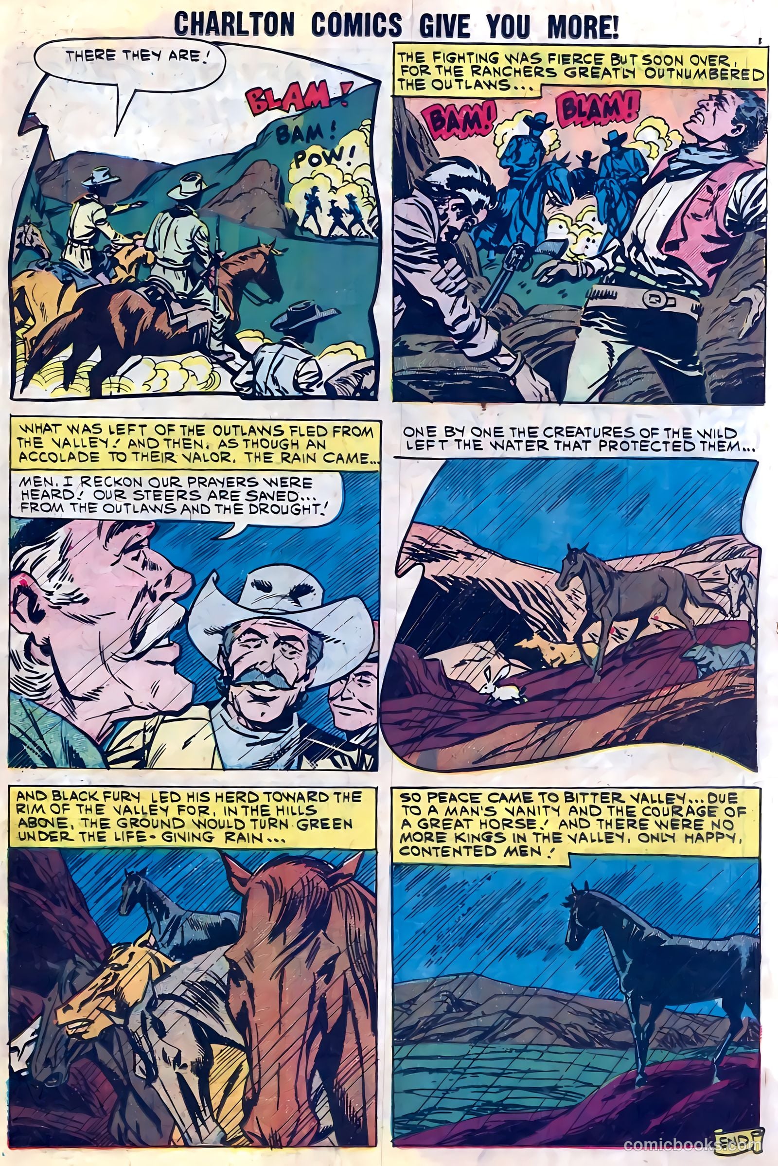 Black Fury #28 — page 11 of 36