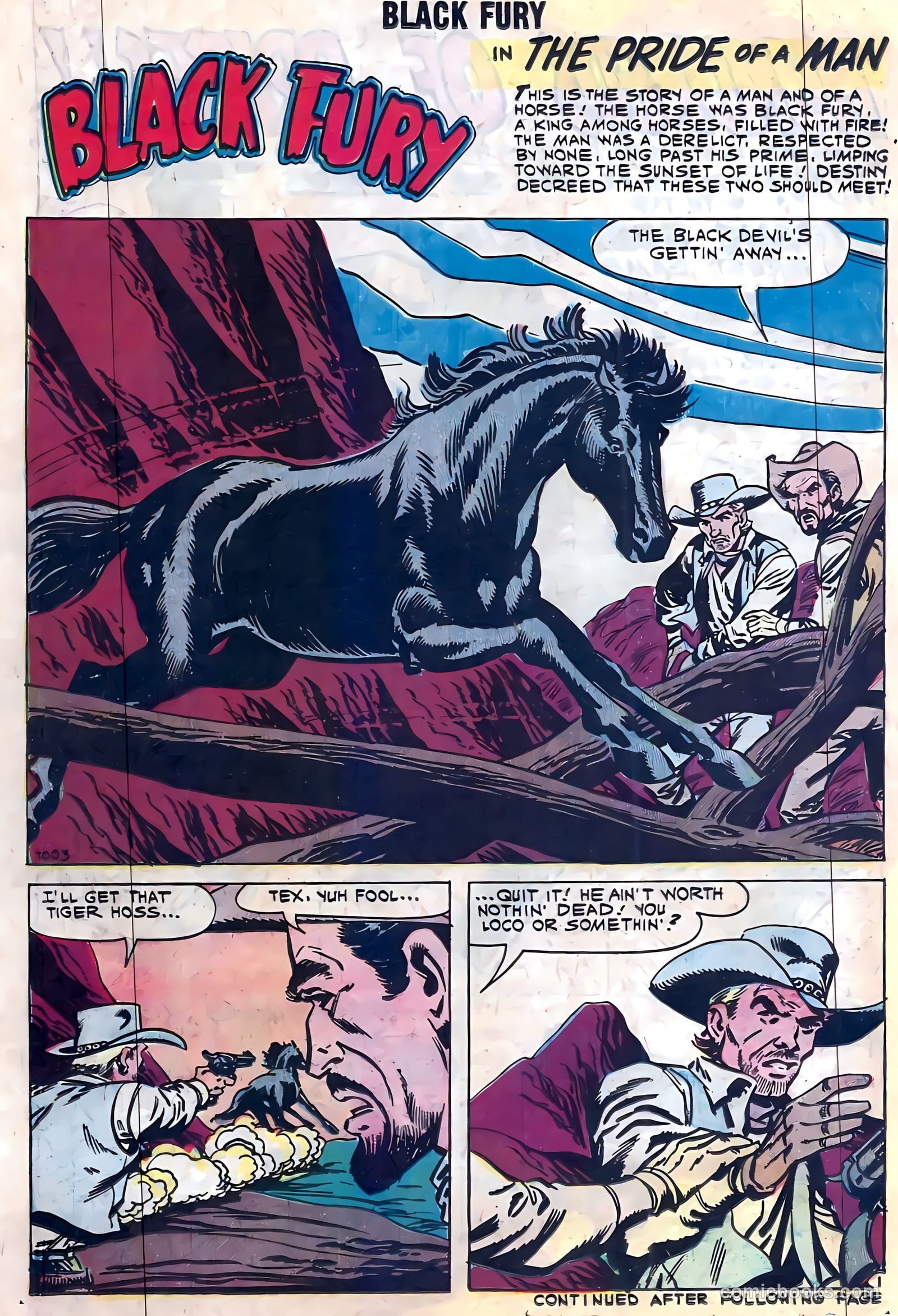 Black Fury #28 — page 14 of 36