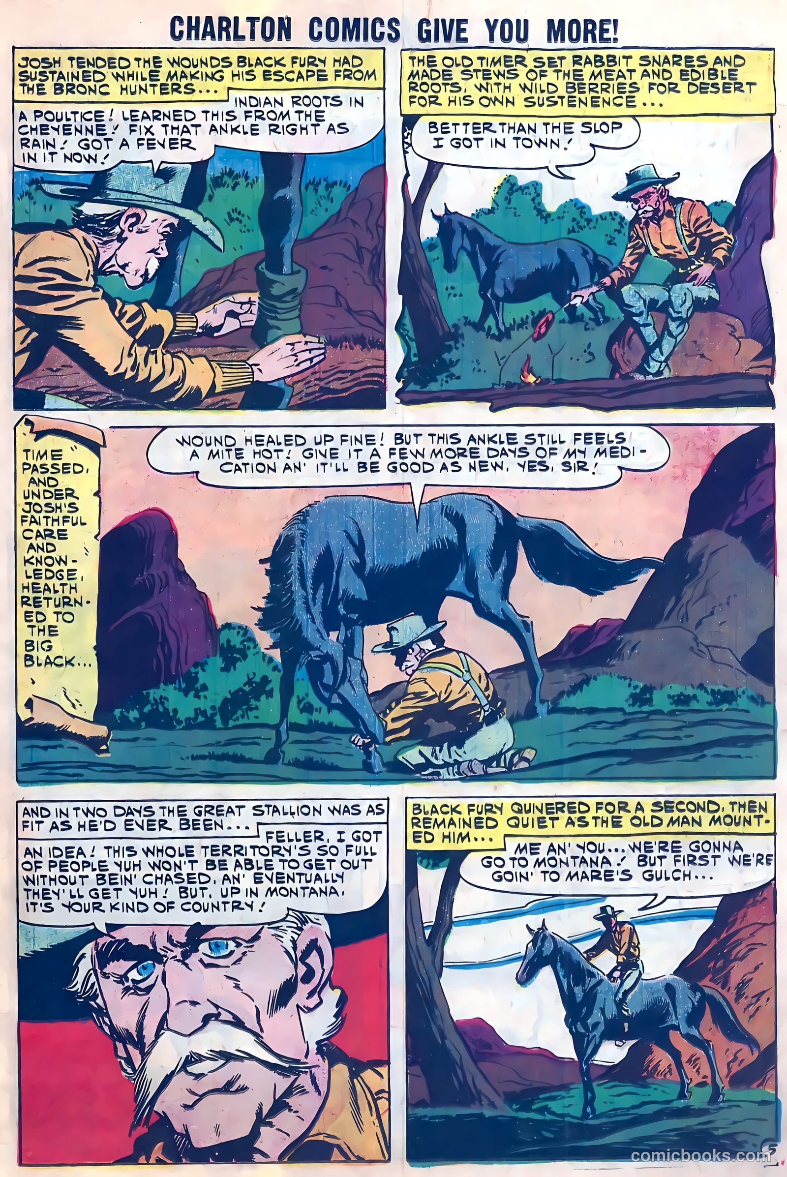 Black Fury #28 — page 19 of 36
