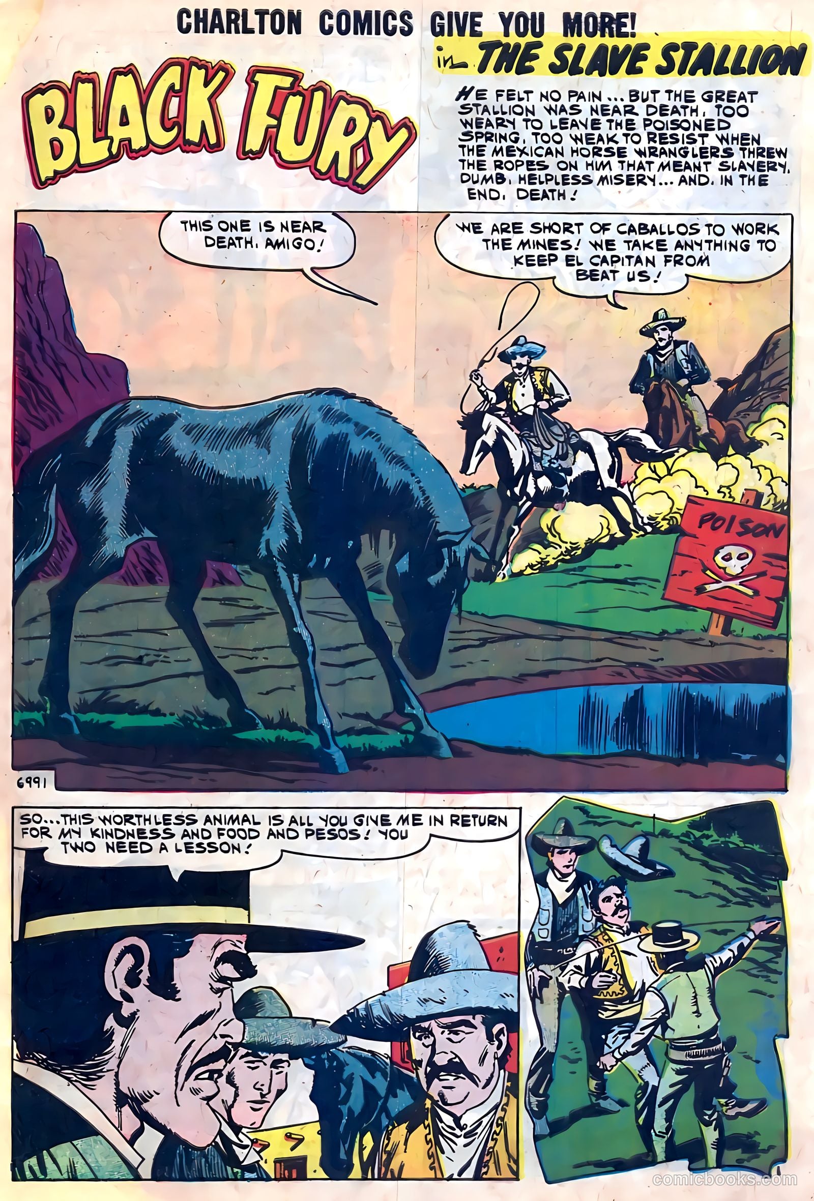 Black Fury #28 — page 27 of 36