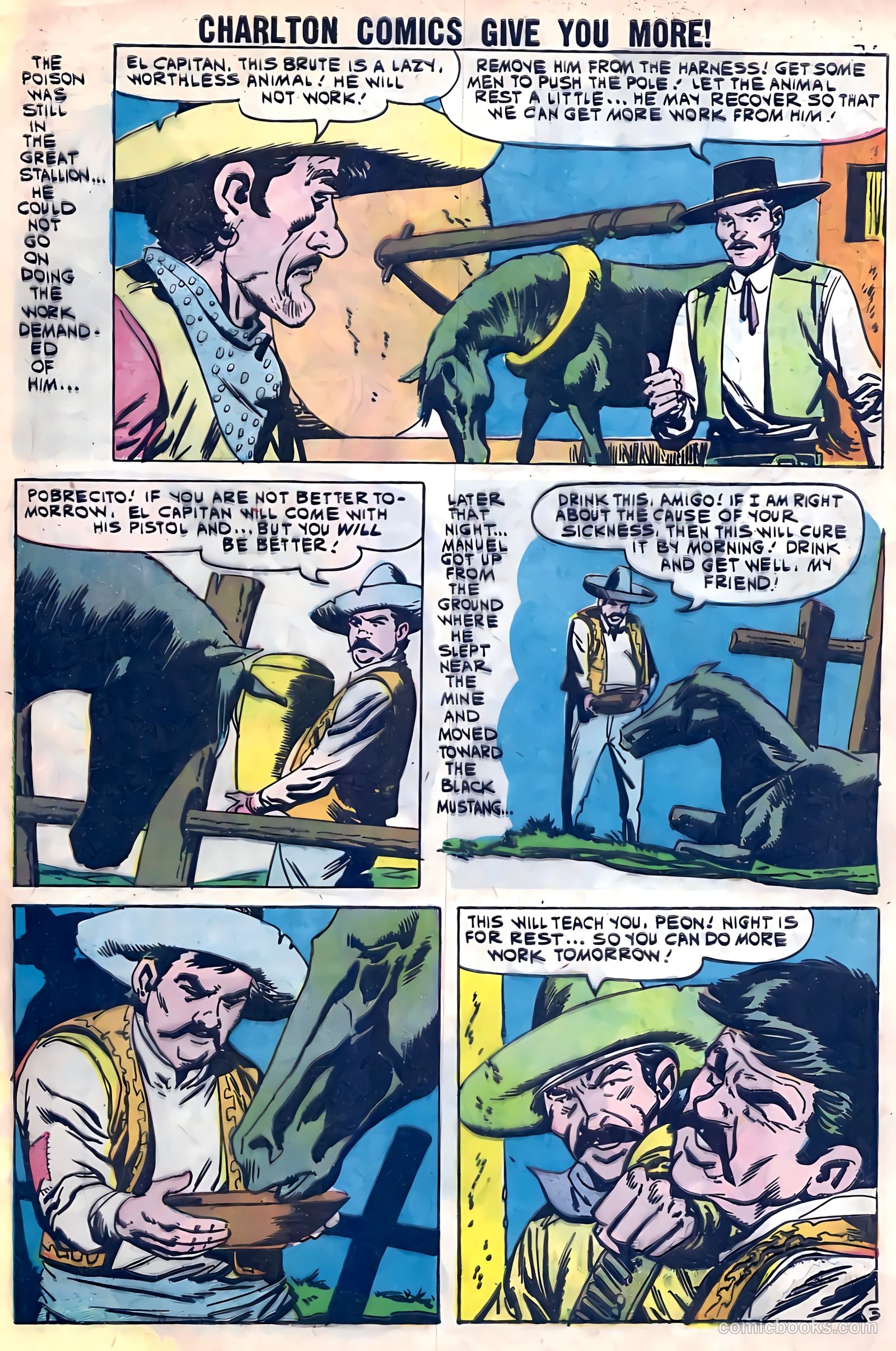 Black Fury #28 — page 29 of 36