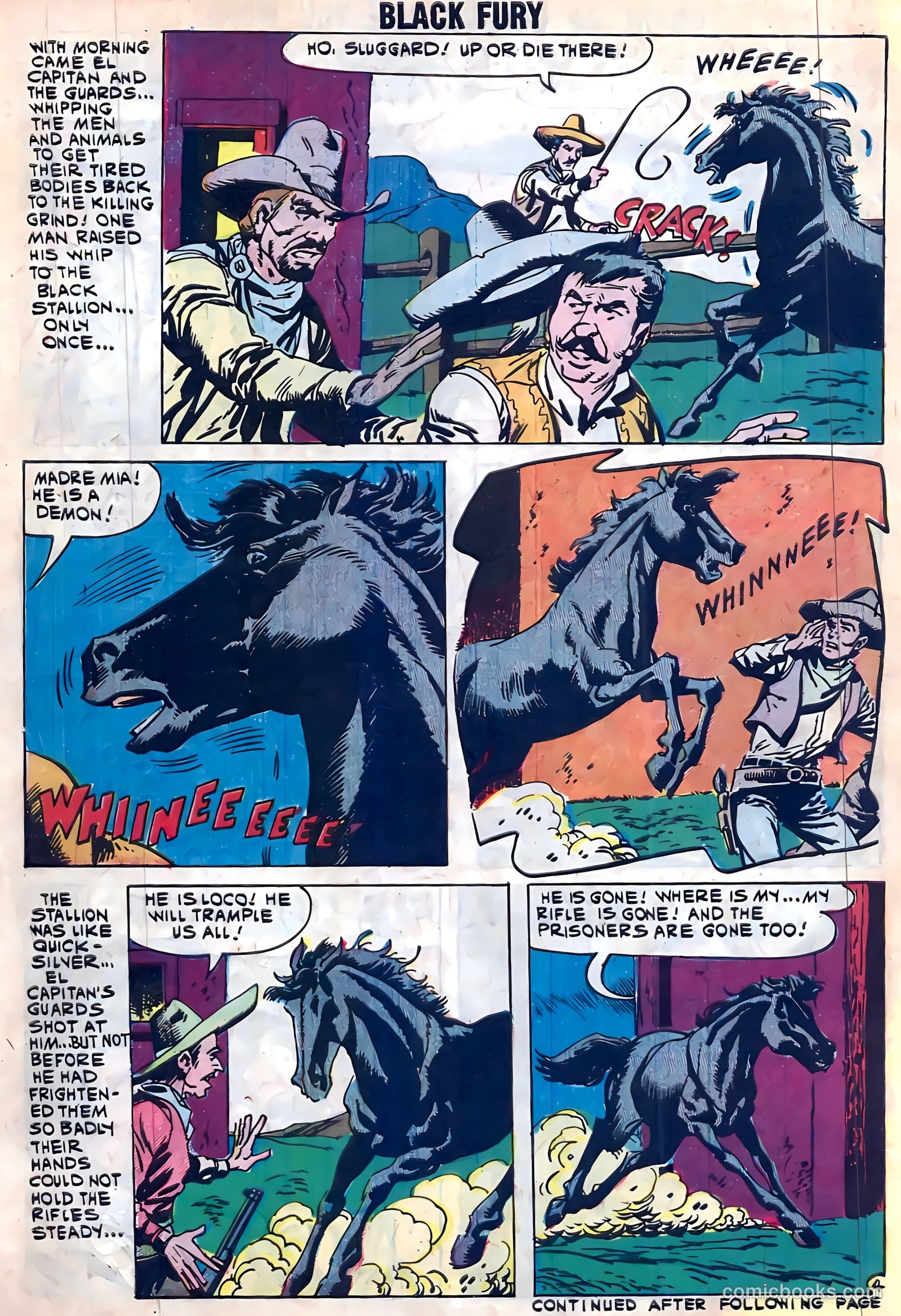 Black Fury #28 — page 30 of 36