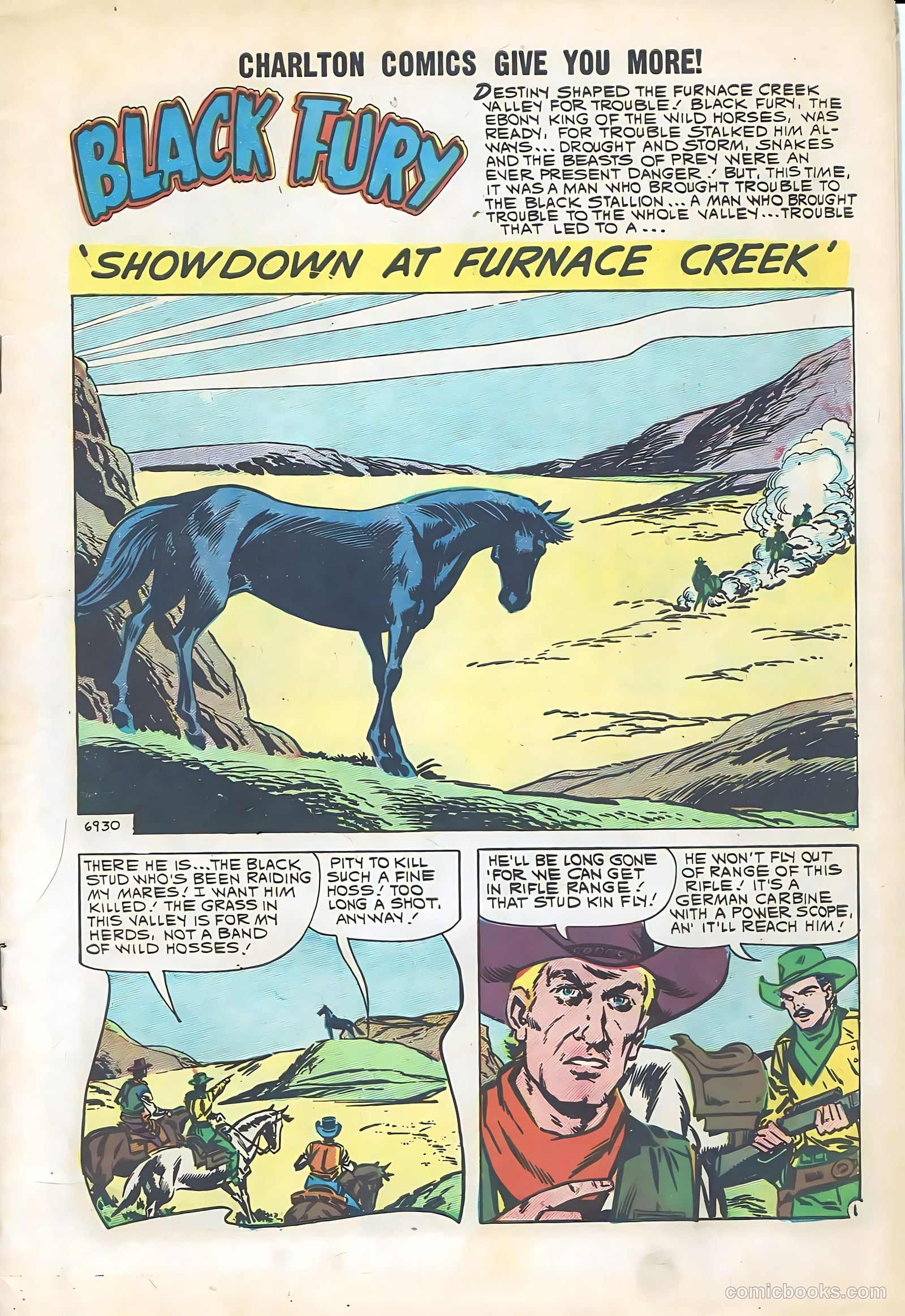 Black Fury #29 — page 3 of 36
