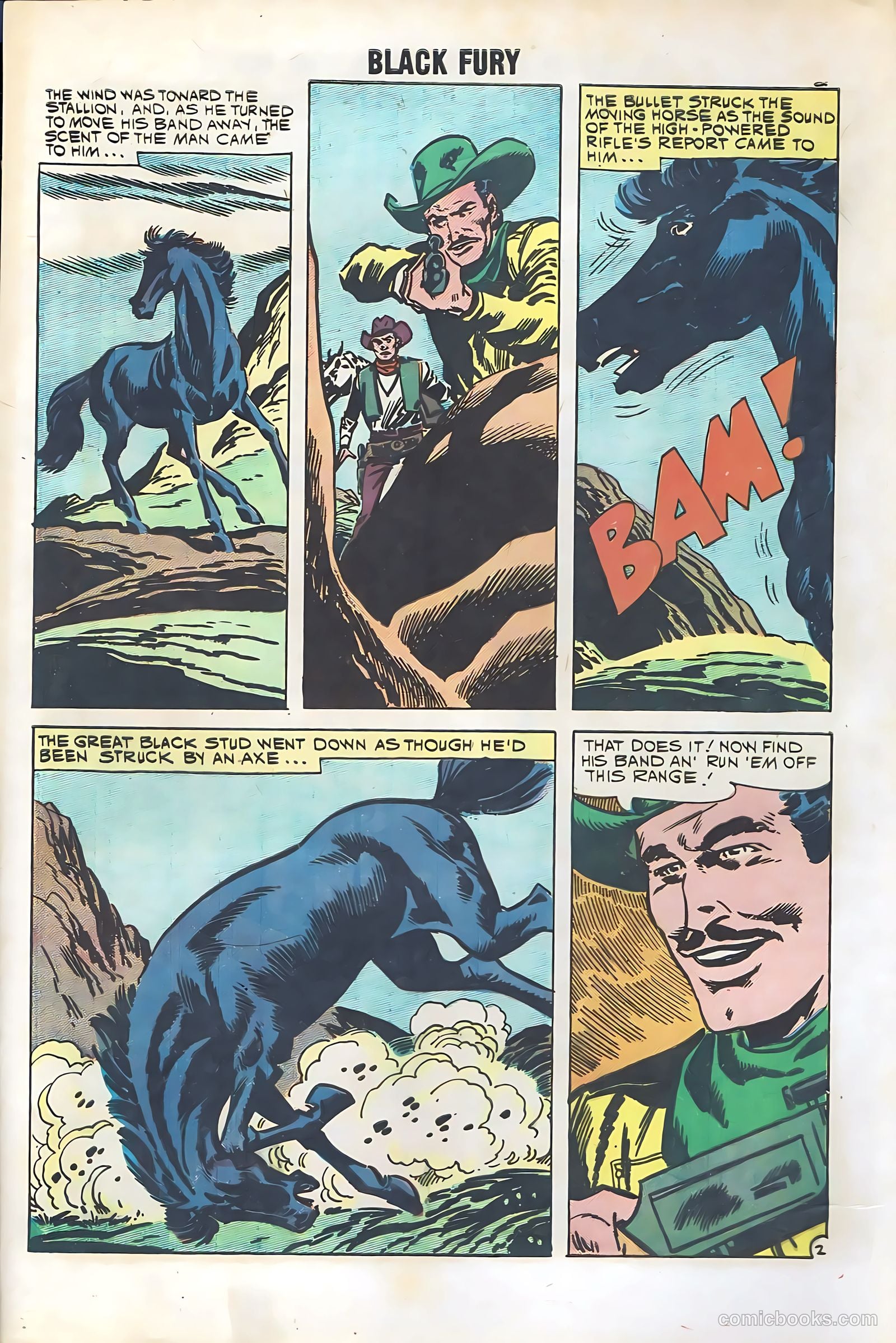 Black Fury #29 — page 4 of 36