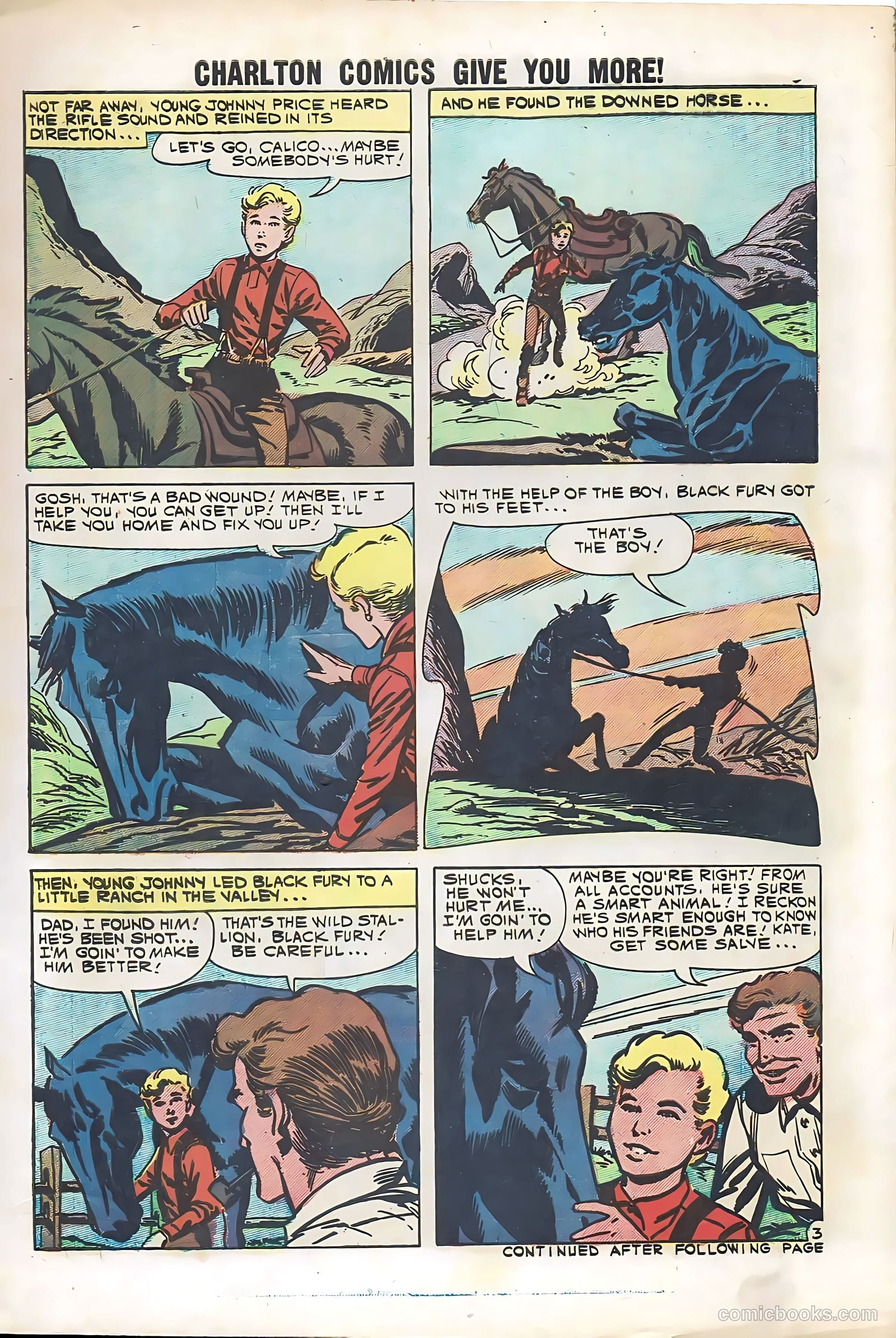 Black Fury #29 — page 5 of 36