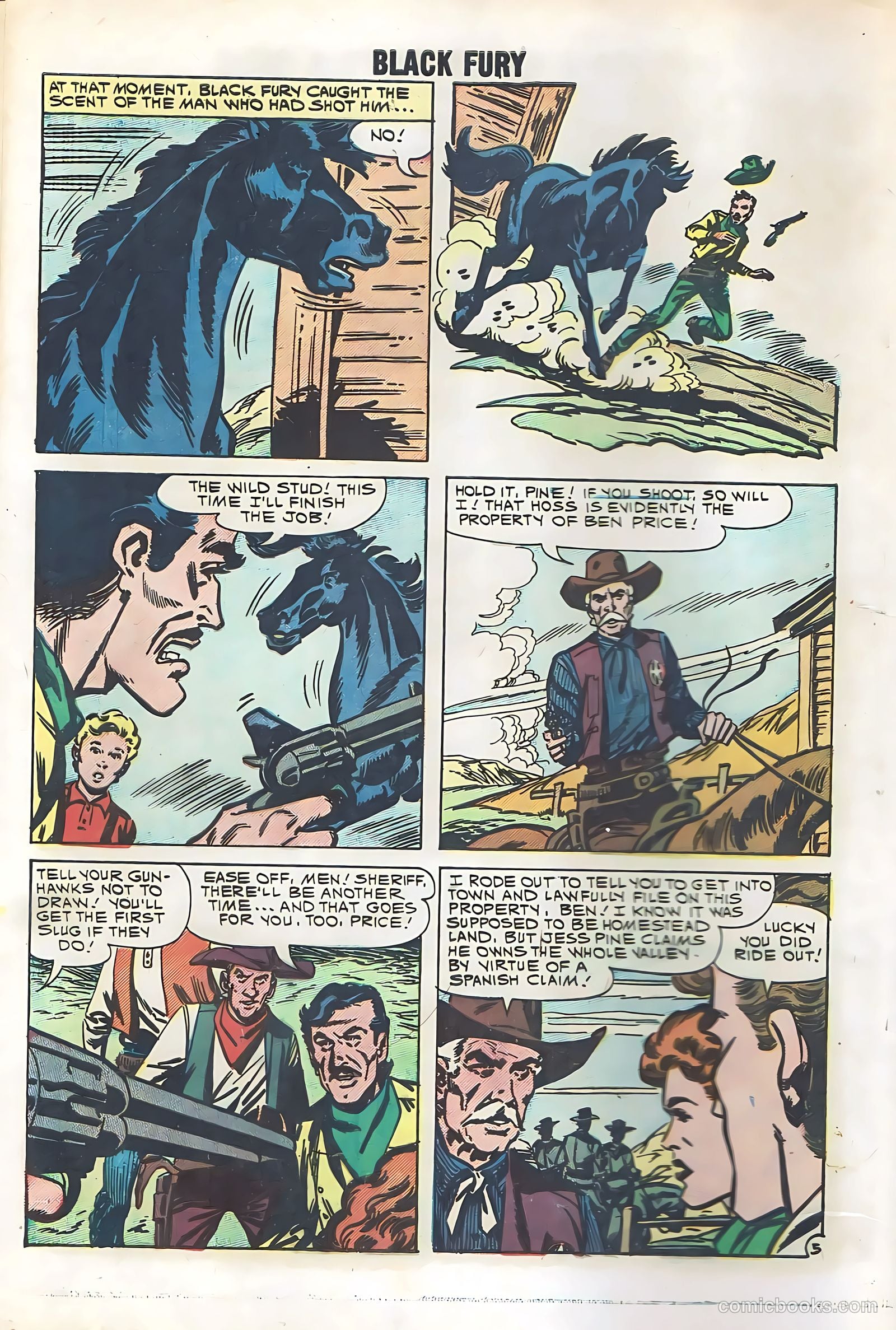 Black Fury #29 — page 8 of 36