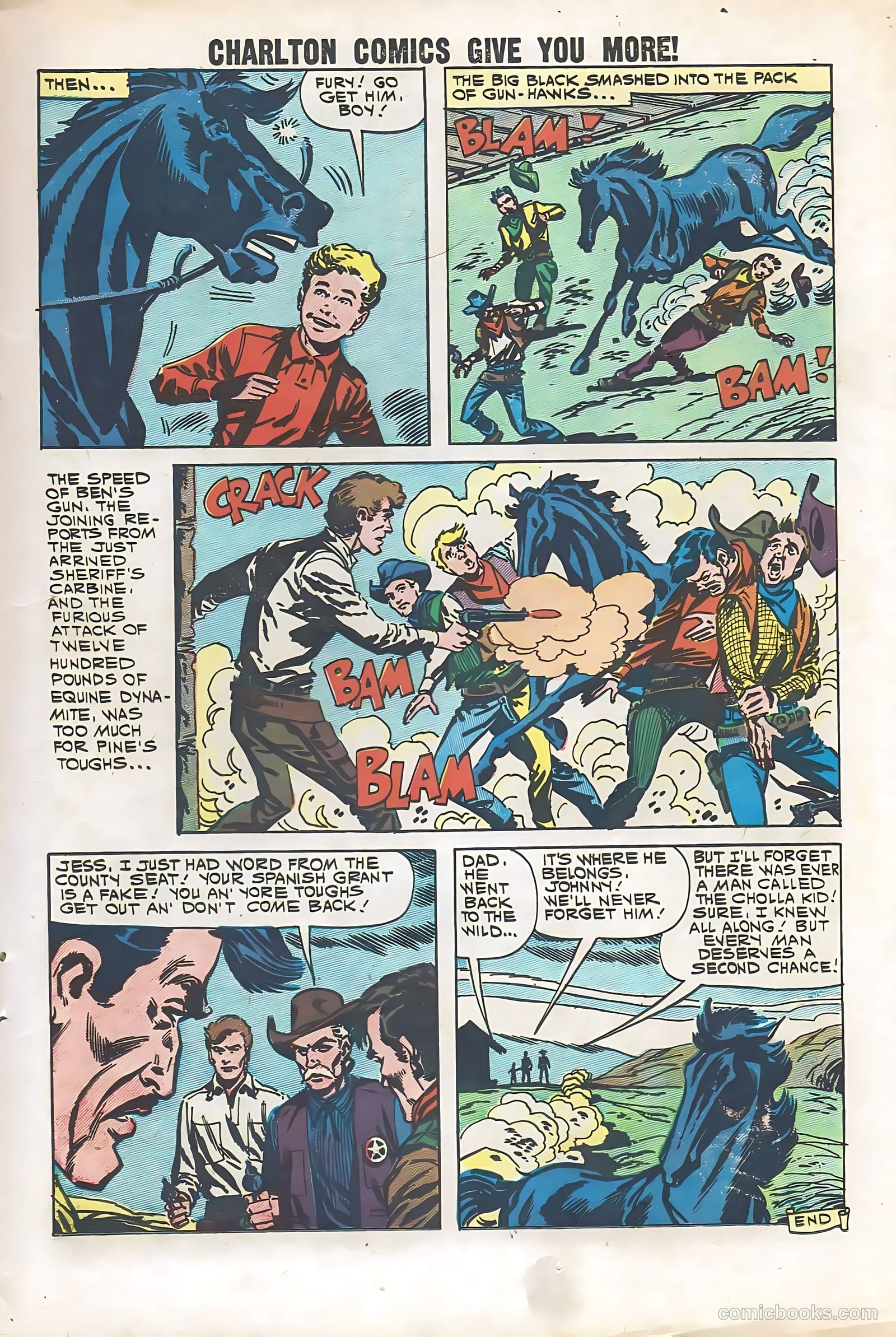Black Fury #29 — page 11 of 36