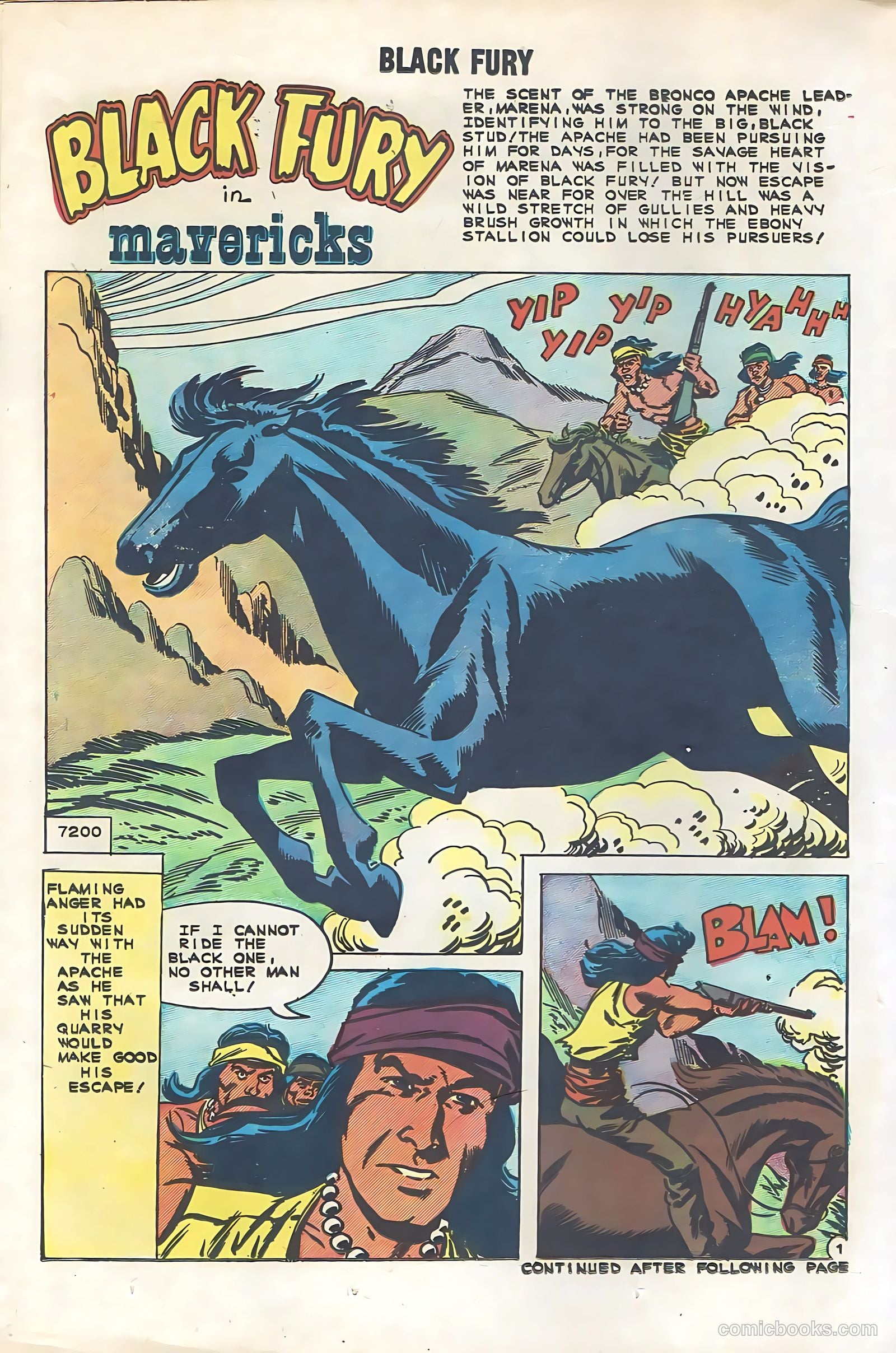 Black Fury #29 — page 14 of 36