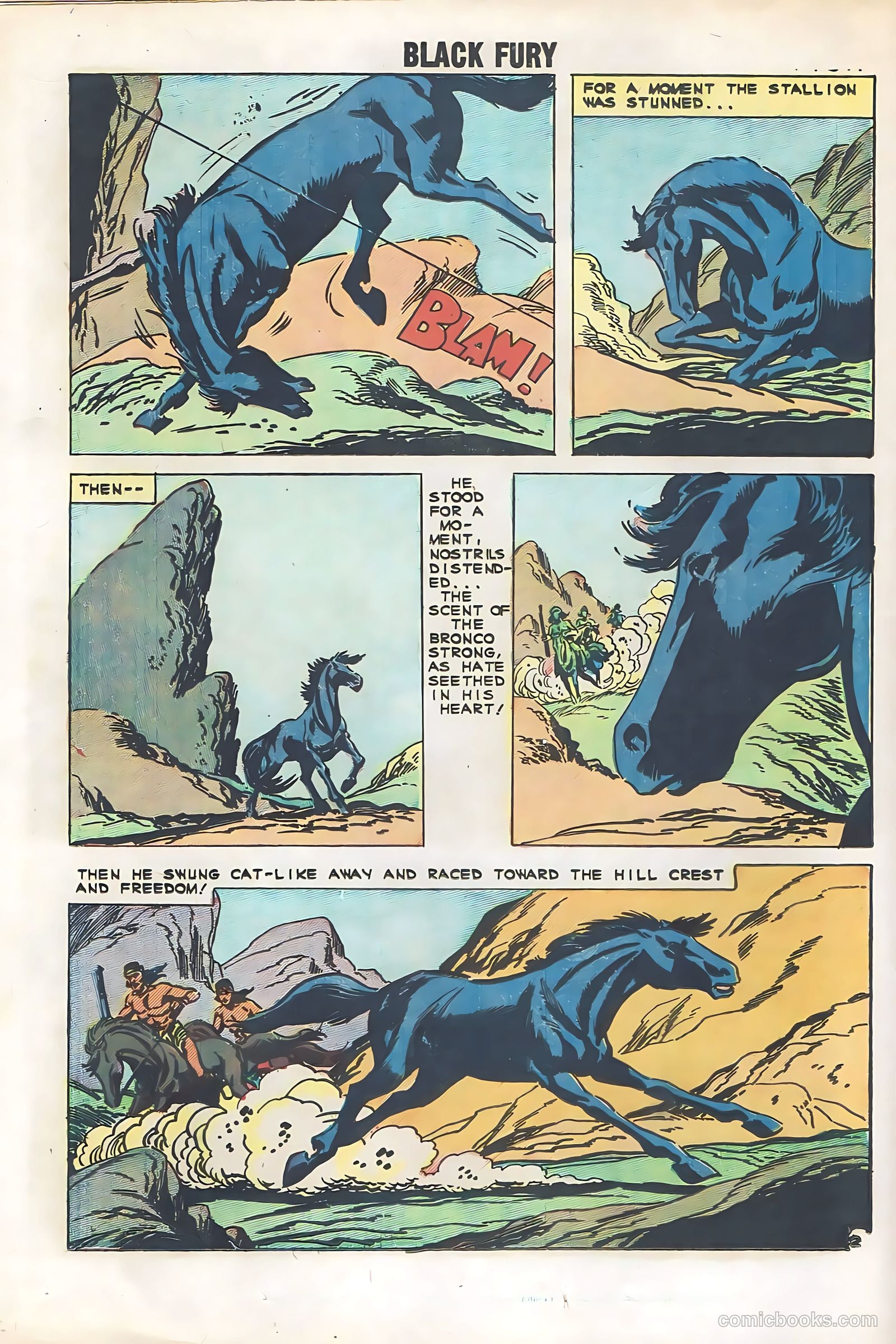 Black Fury #29 — page 16 of 36