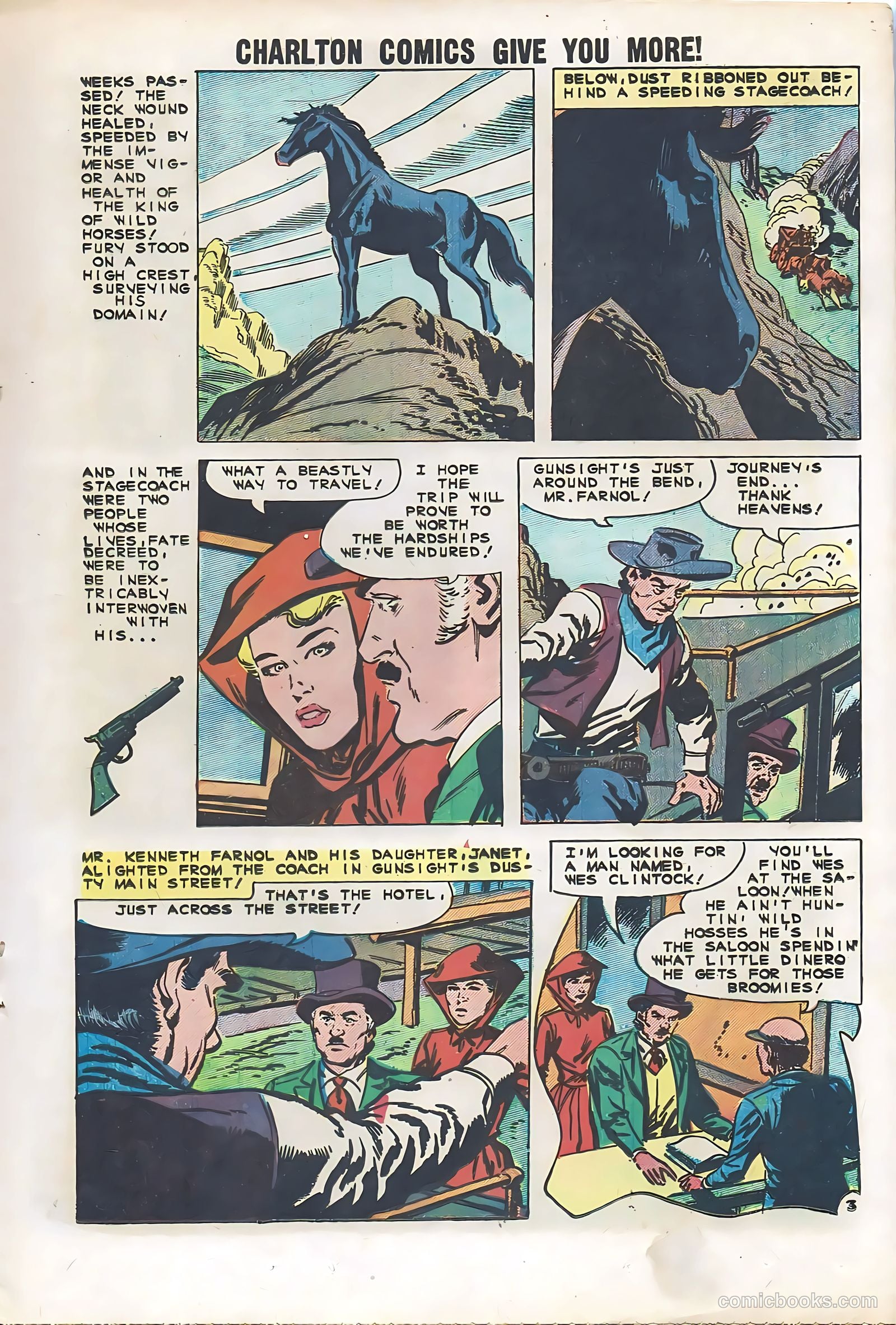 Black Fury #29 — page 17 of 36