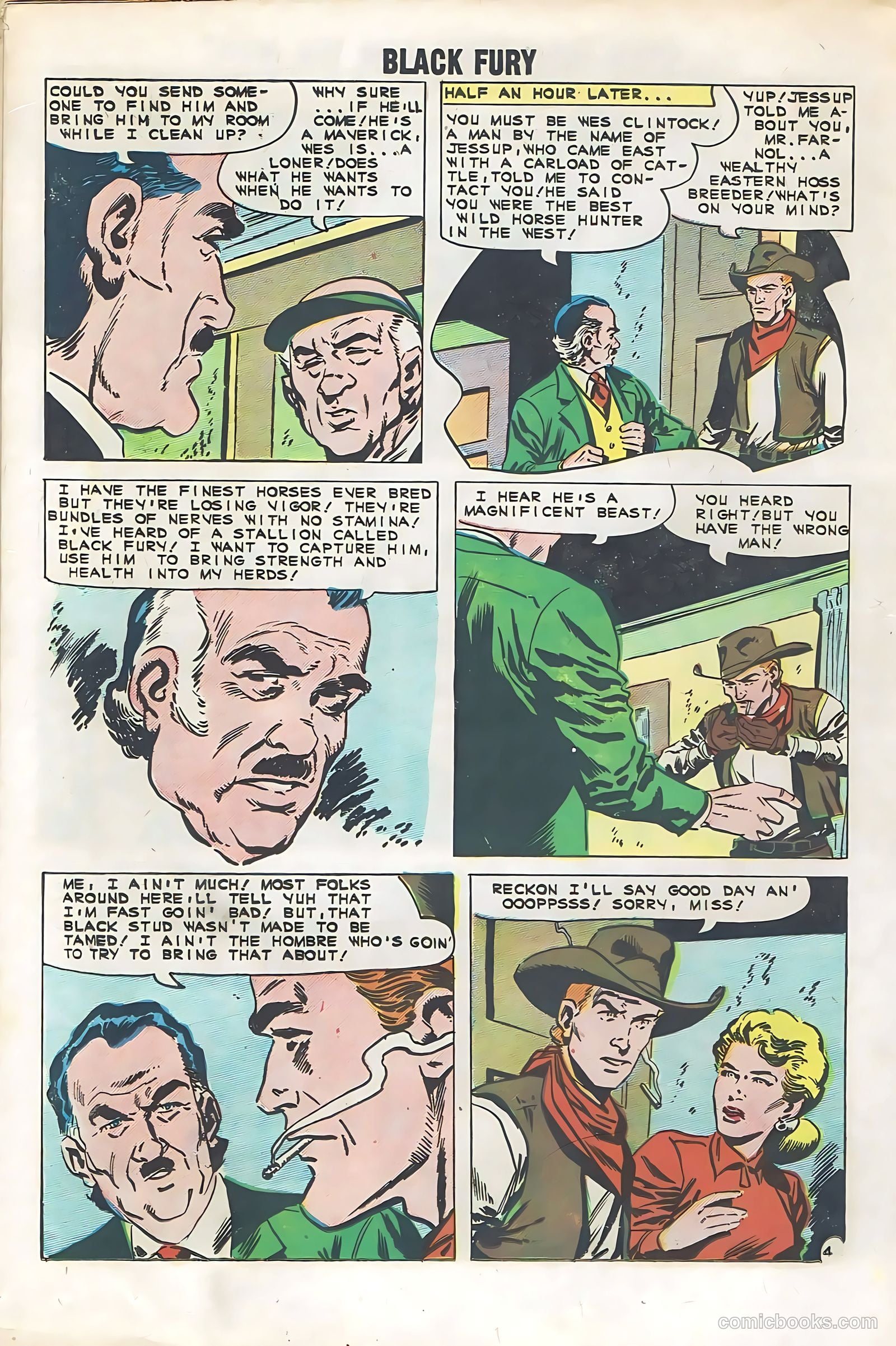 Black Fury #29 — page 18 of 36