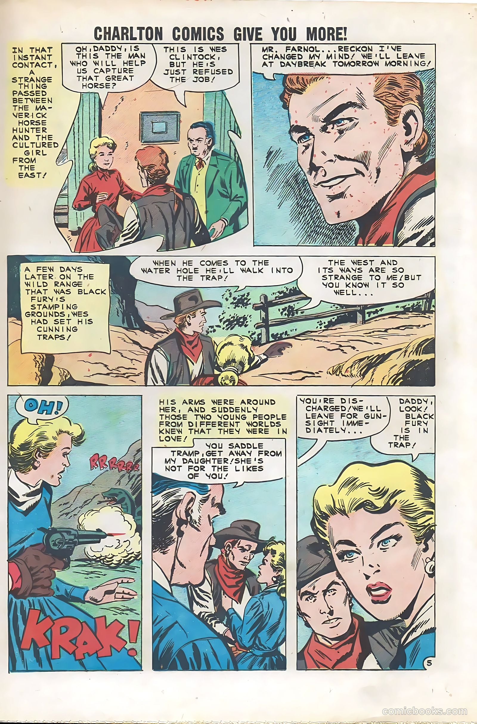 Black Fury #29 — page 19 of 36